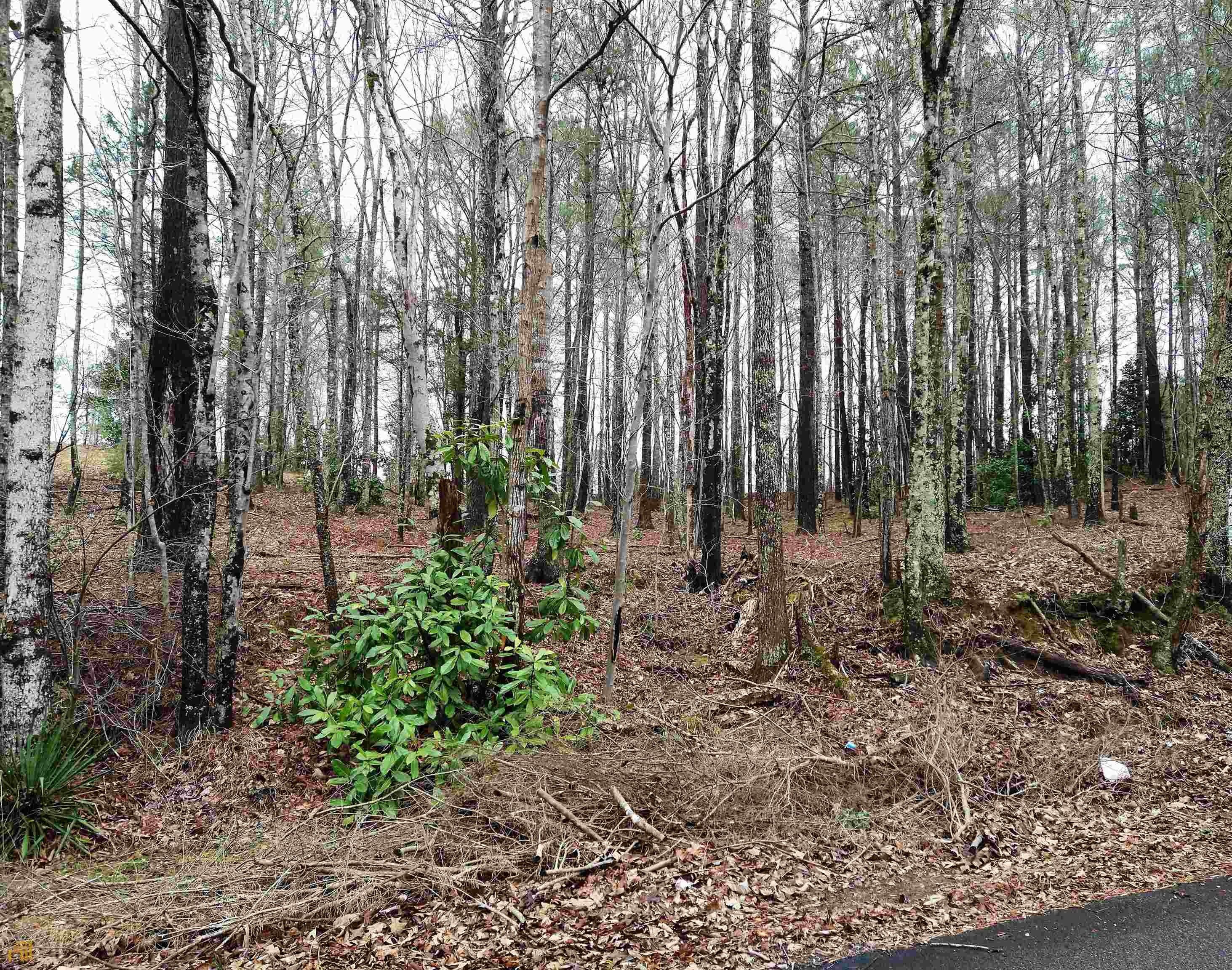 1 Acres, 0 Almon Avenue, Tallapoosa, GA 30176 Land and Farm