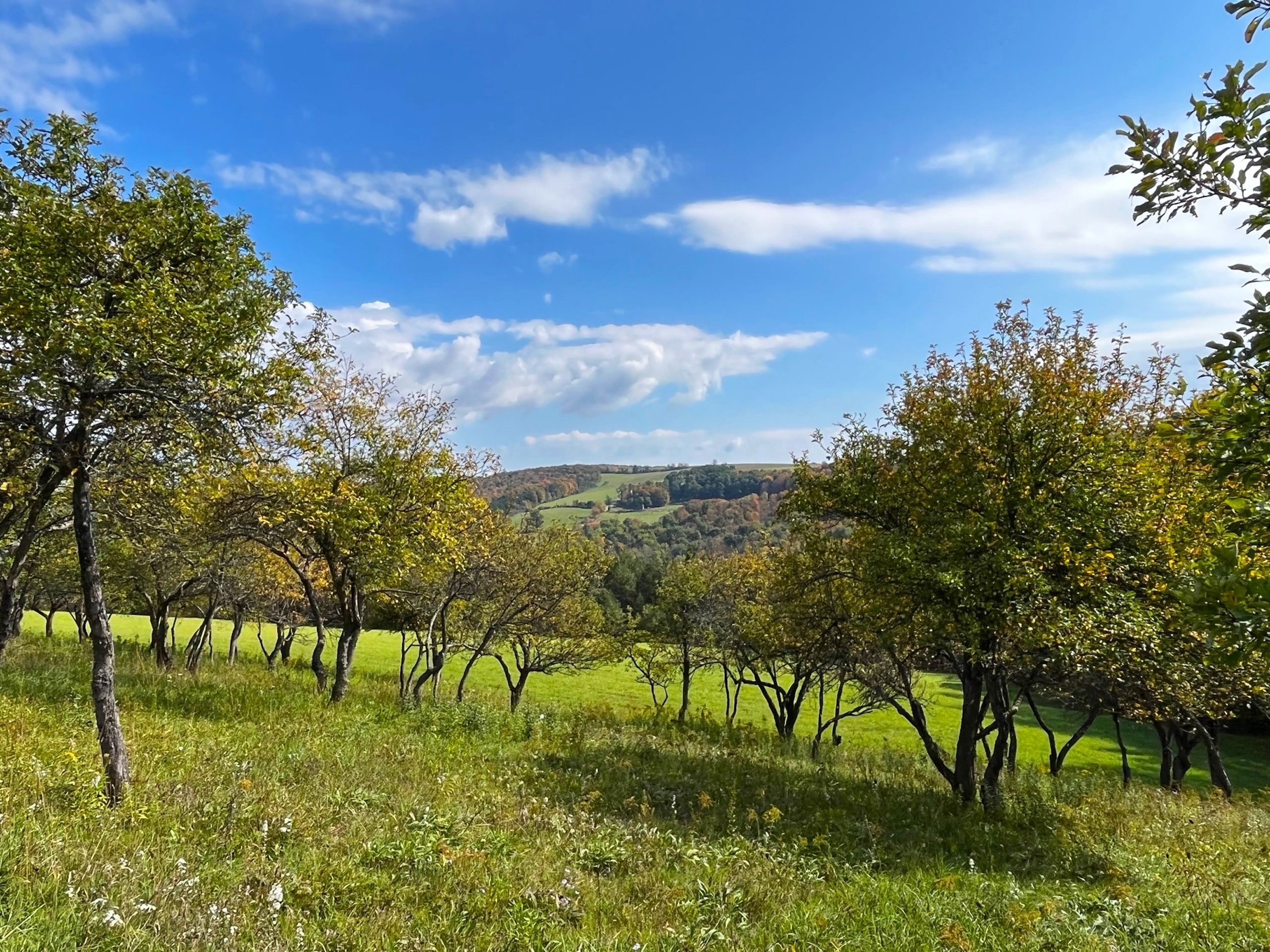 VL Sinclair Road, Lot 3, Bath, NY 14801 MLS 11220165 Land and Farm