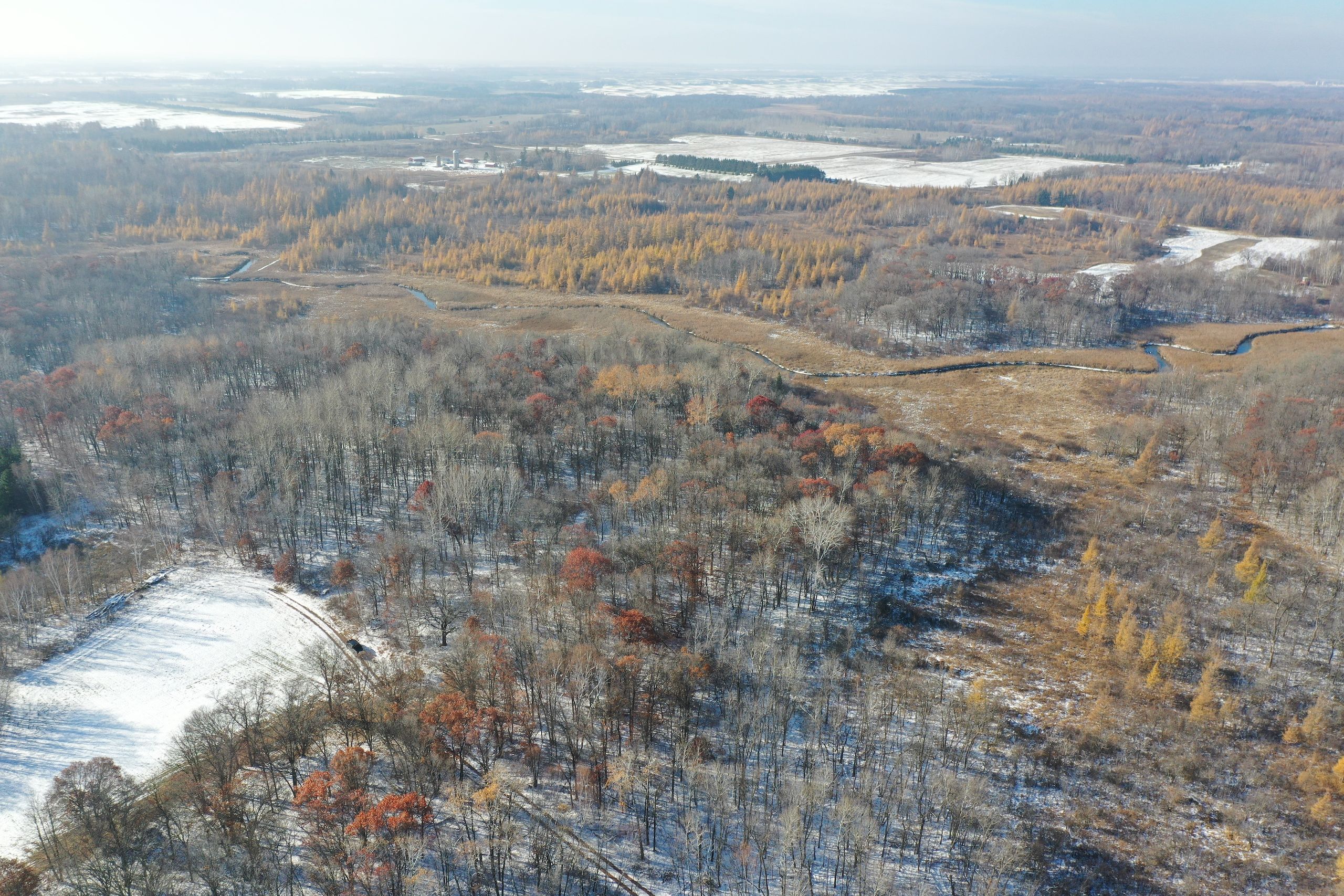 193.5 Acres, TBD Pilgrim Road, LotWP001, Parkers Prairie, MN 56361