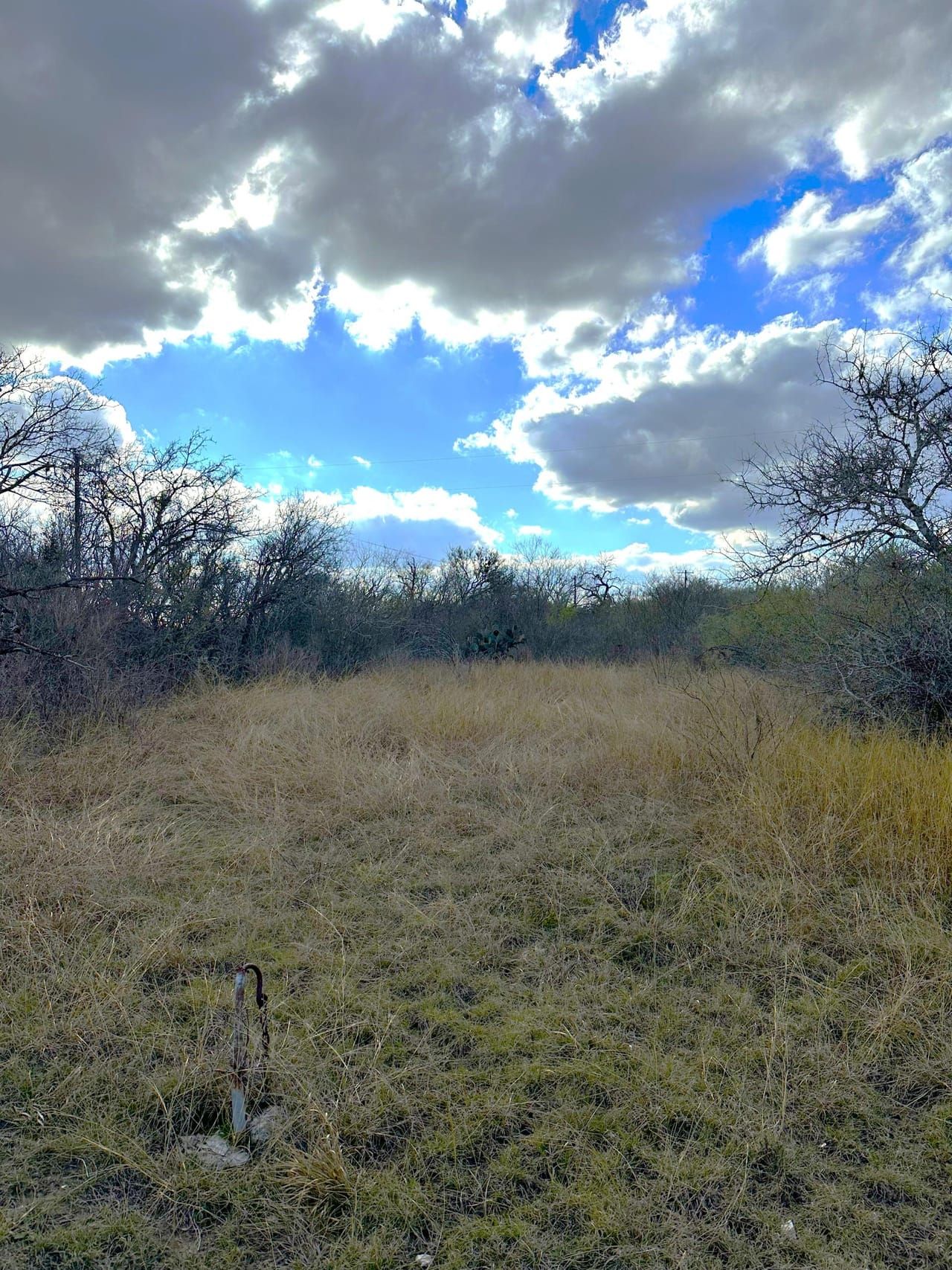 0 Kings Lane, Tuleta, TX 78102 Land and Farm
