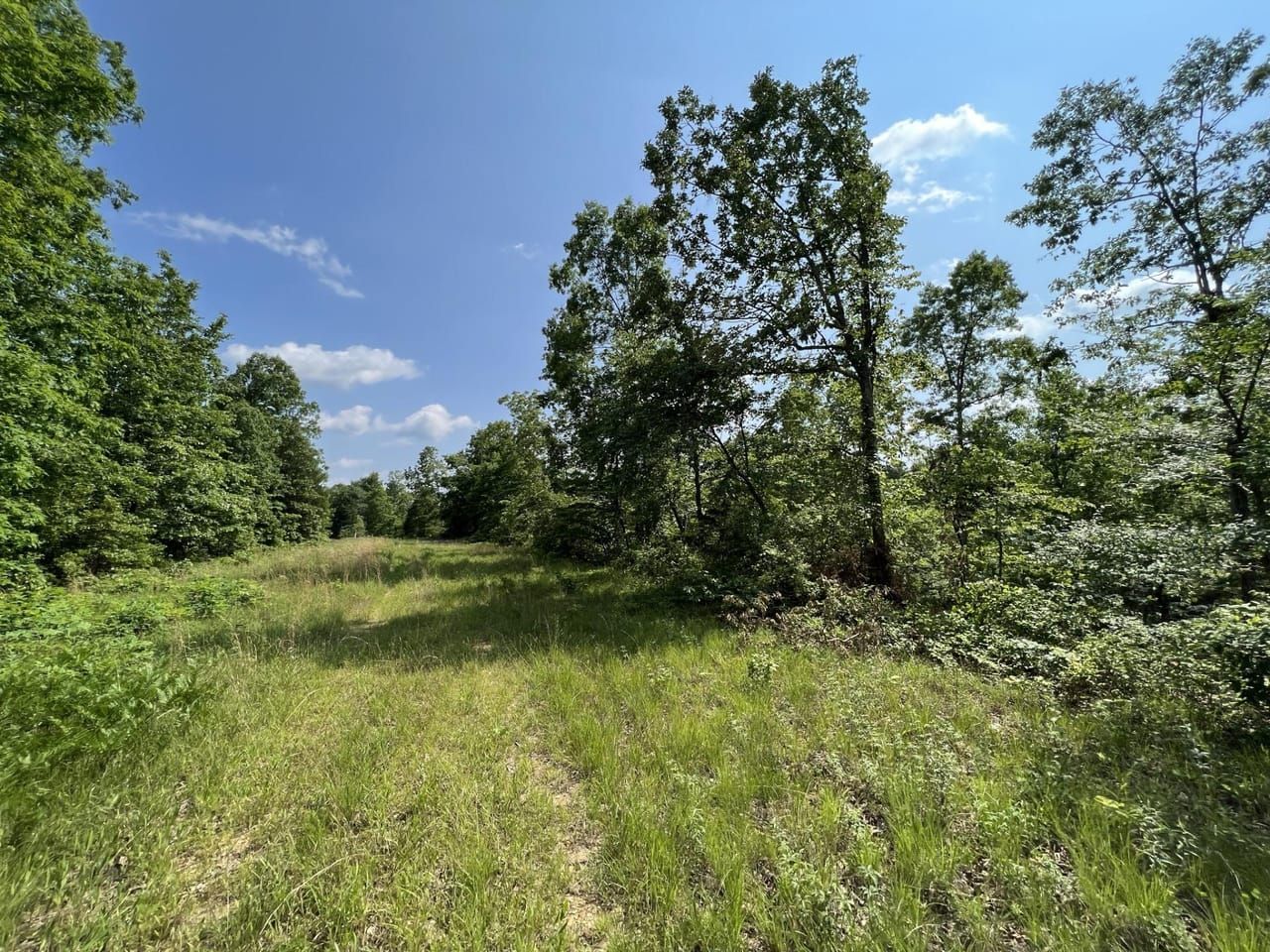 619.63 Acres, 0 W Kelley Road, Pleasantville, TN 37033 Land and Farm