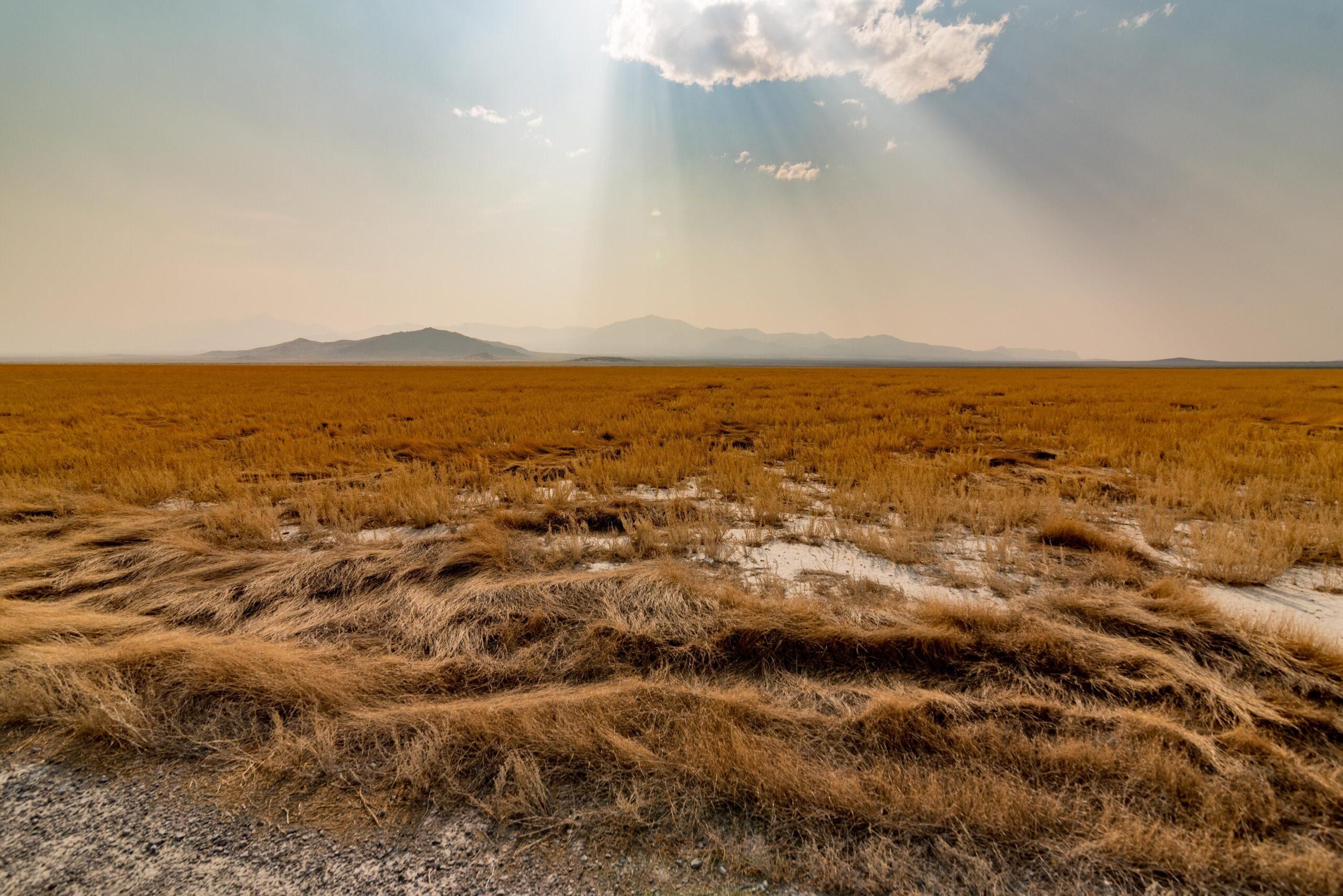 159 Acres, Lucin, UT 84083 Land and Farm