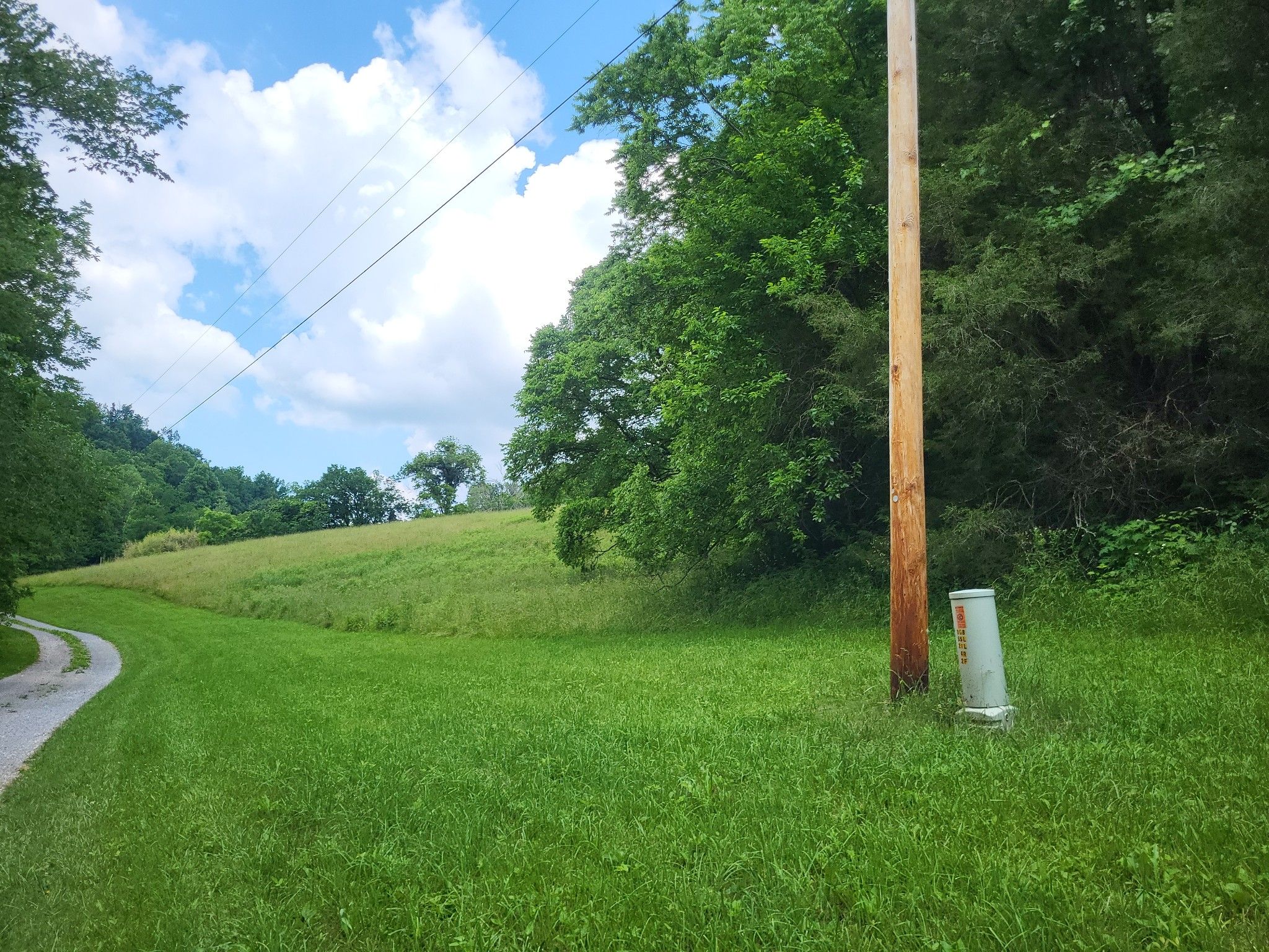 34.75 Acres, 0 Opossum Paw Rd, Beechgrove, TN 37018 Land and Farm