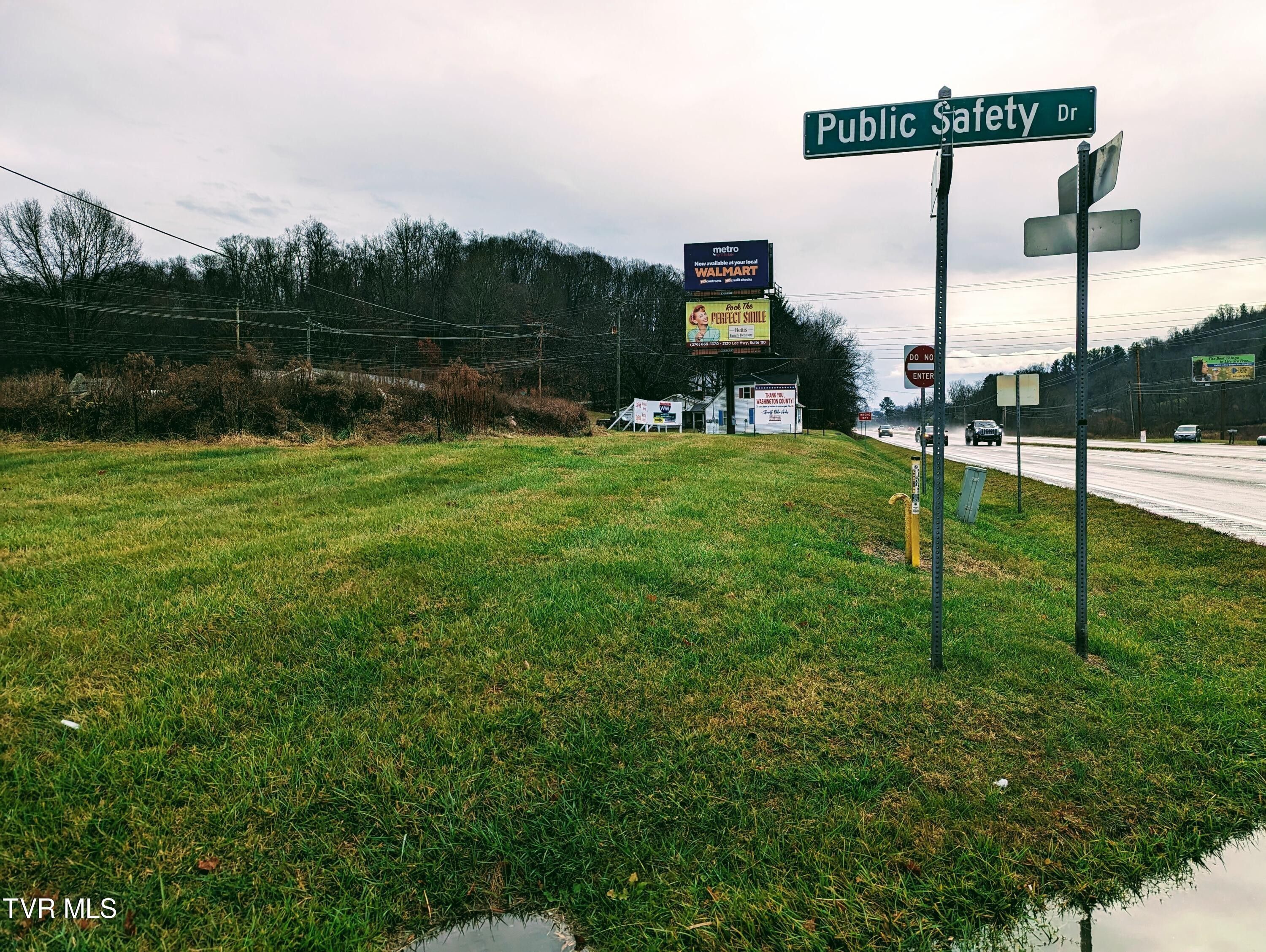 0.25 Acres, 20268 Rustic Lane, Abingdon, VA 24210 Land and Farm