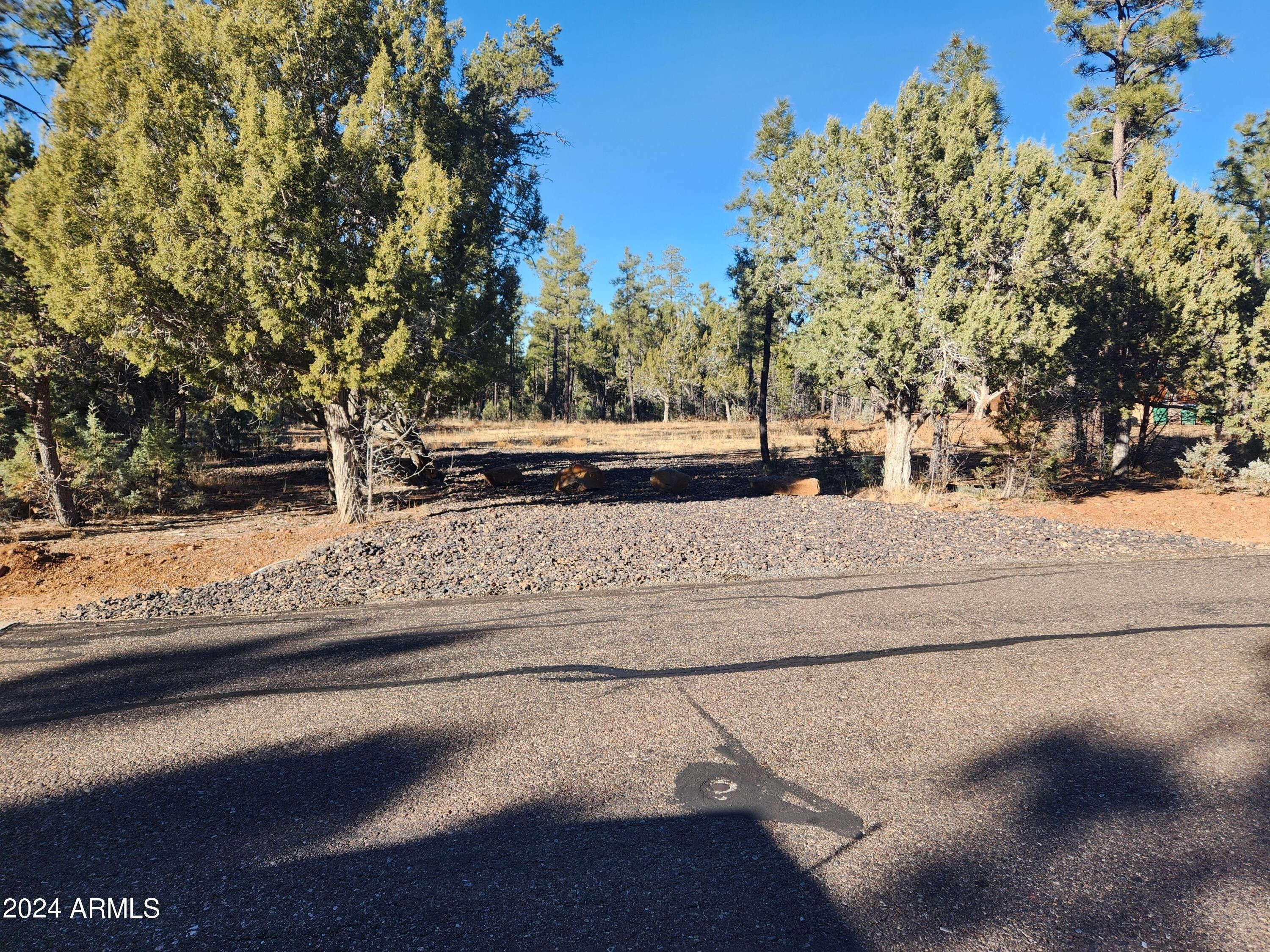 0.78 Acres, 1800 S MONKSHOOD Road, Show Low, AZ 85901 Land and Farm