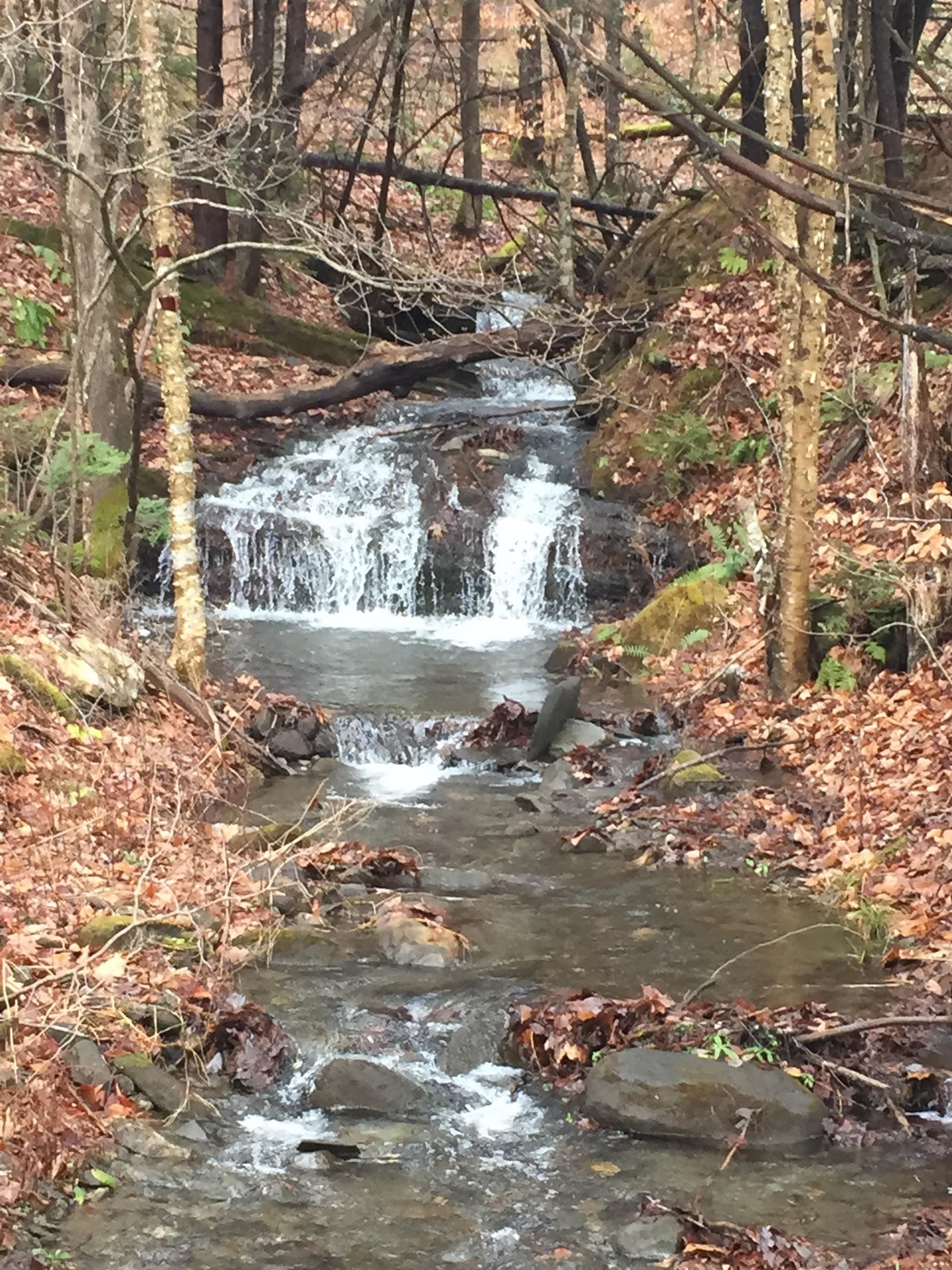 5000 VT Route 106, Reading, VT 05062 MLS 4981251 Land and Farm