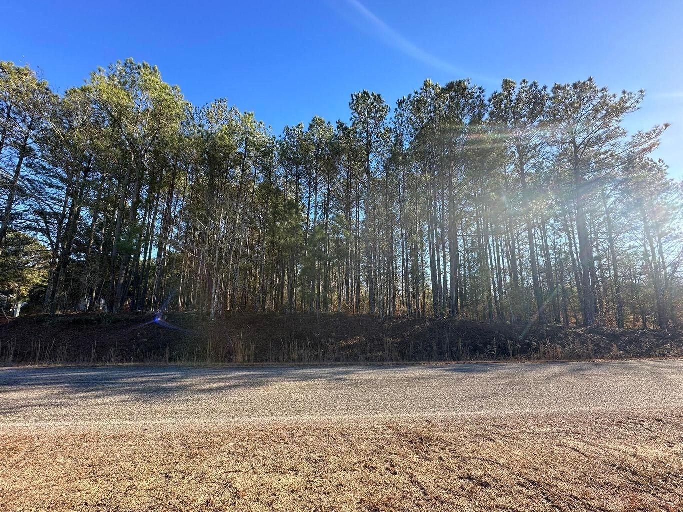 Courtney Road, Trenton, SC 29847 MLS 523895 Land and Farm