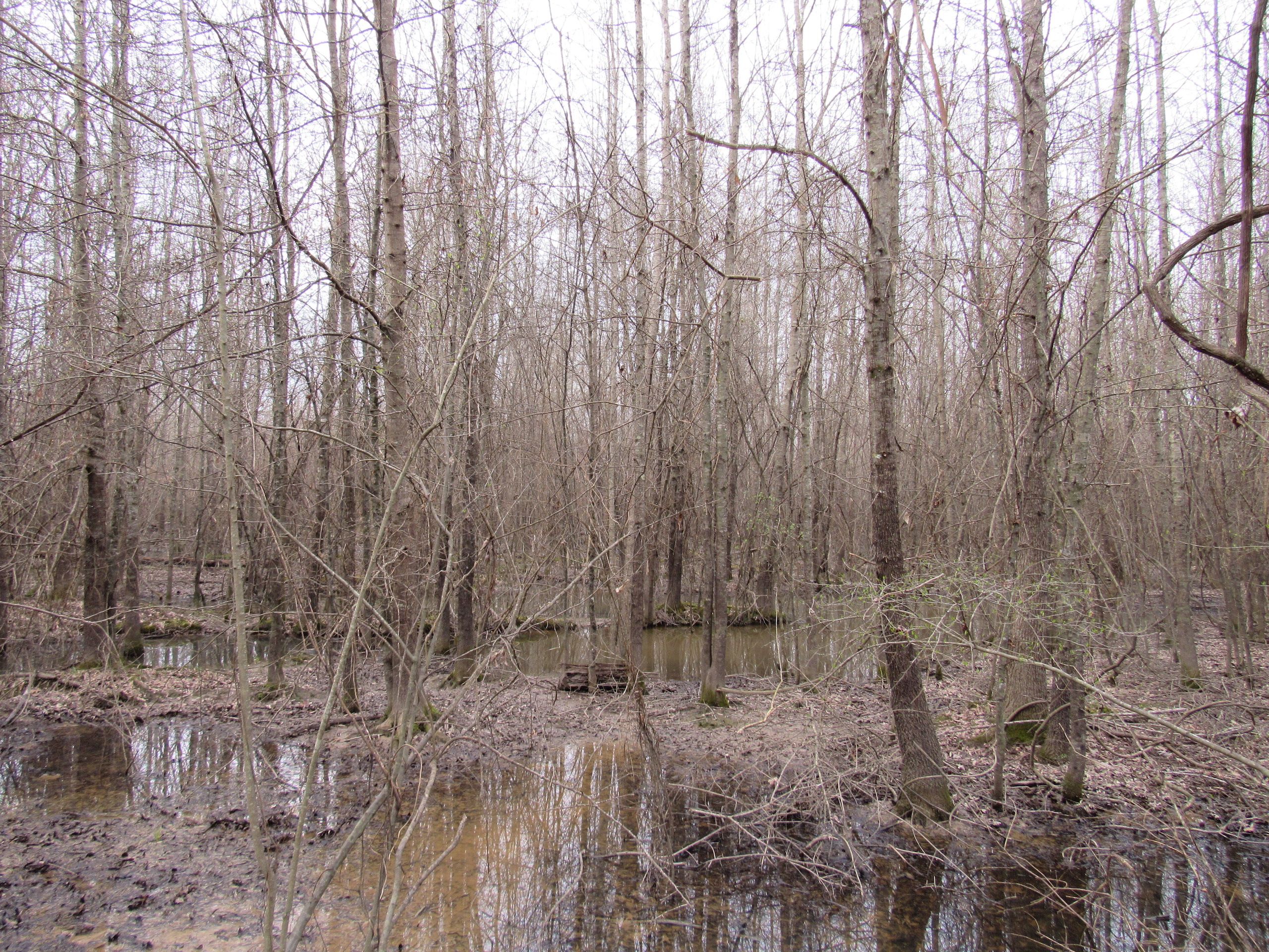 Hwy 167, Lot wp002, Fordyce, AR 71742 Land and Farm