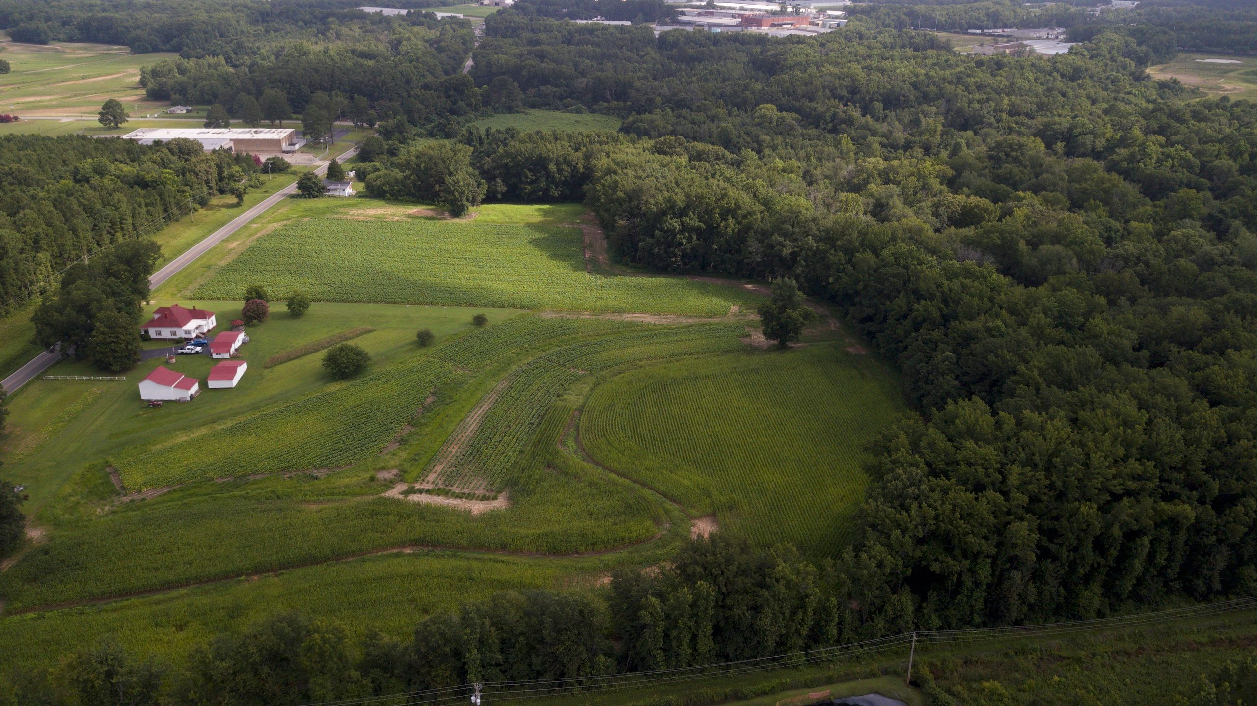 3301 Black Creek Road, Wilson, NC 27893 Land and Farm