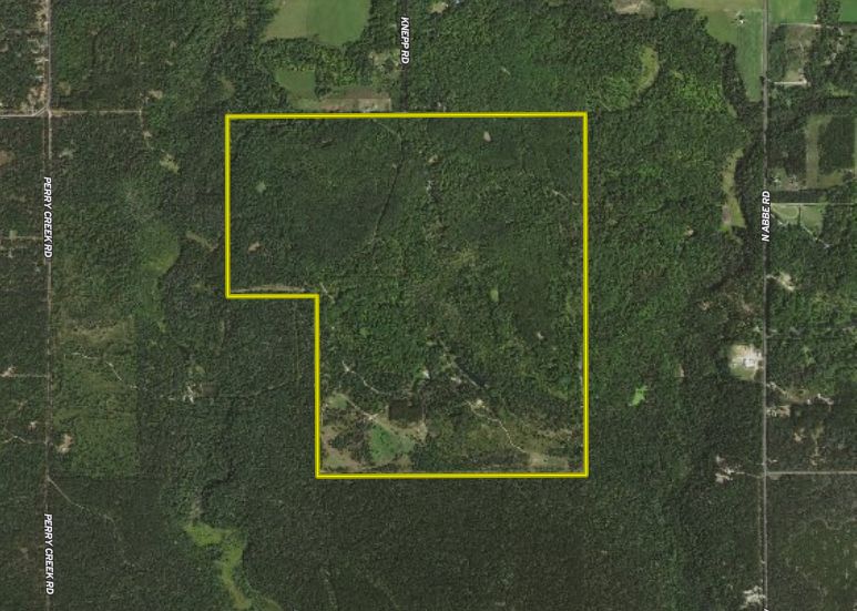 132 Knepp Rd, Lot WP0001, Fairview, MI 48475 Land and Farm