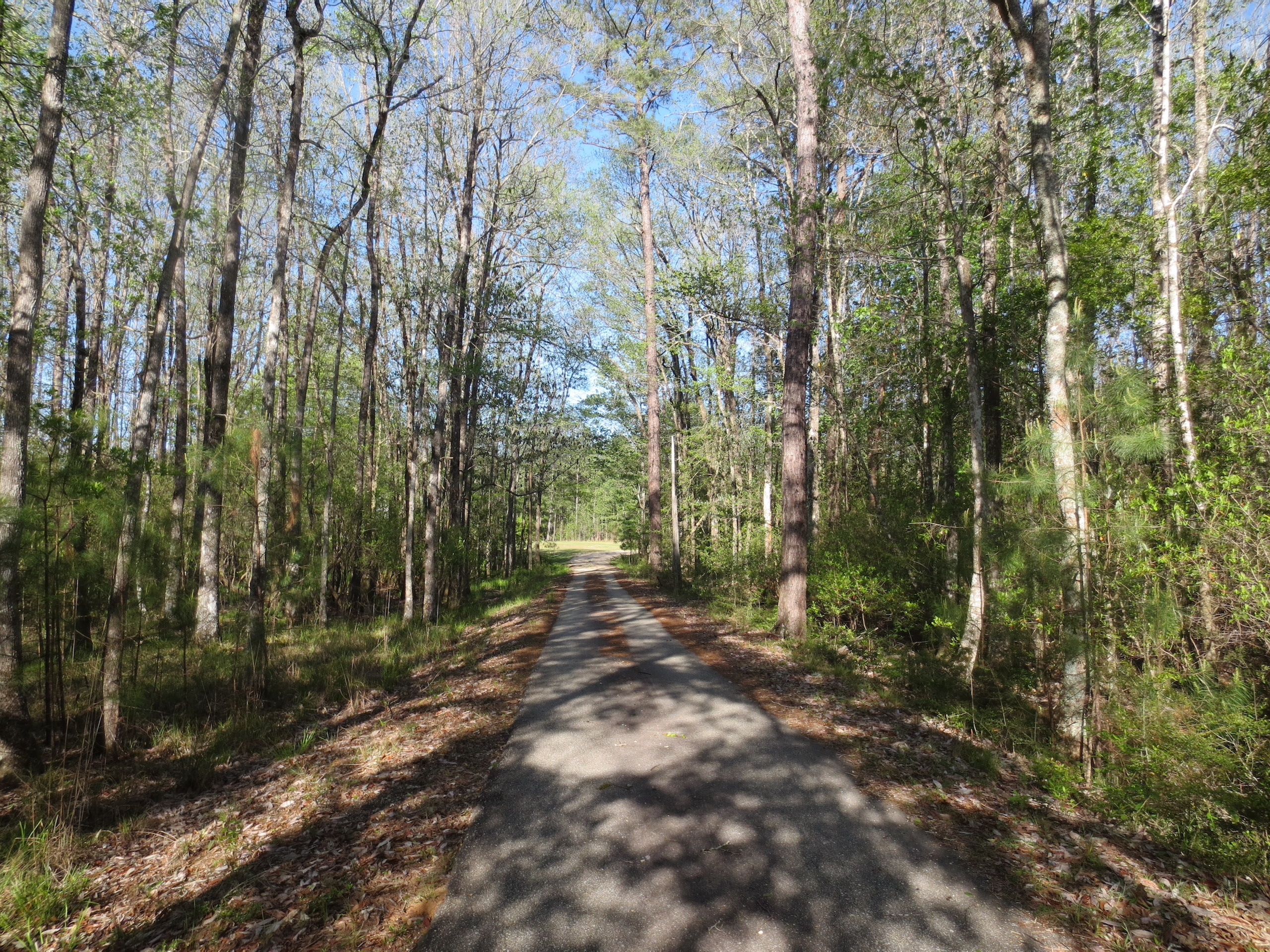 31156 Old Columbia Road, Angie, LA 70426 Land and Farm