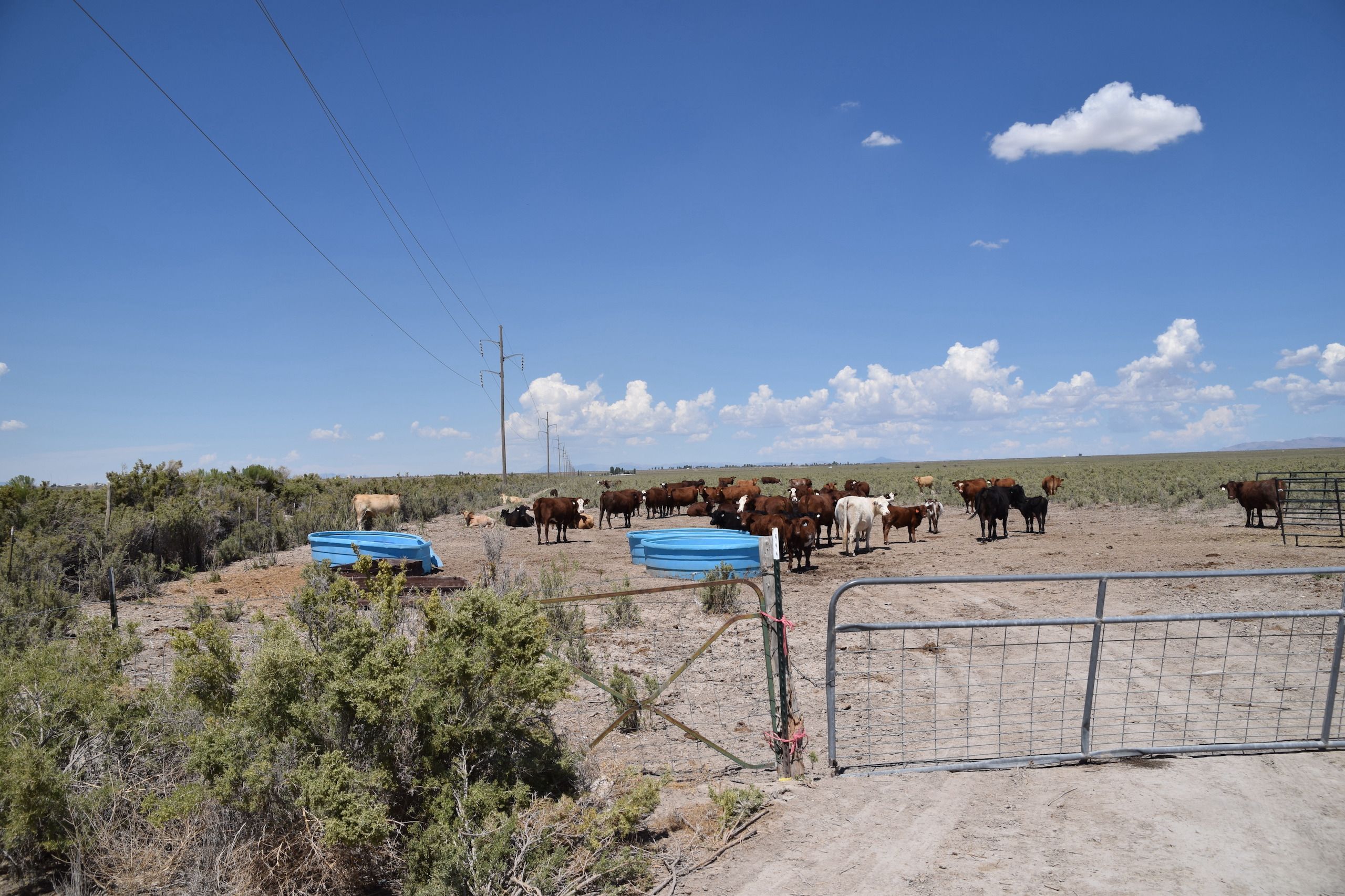 Highway 50, LotWP002, Delta, UT 84624 Land and Farm