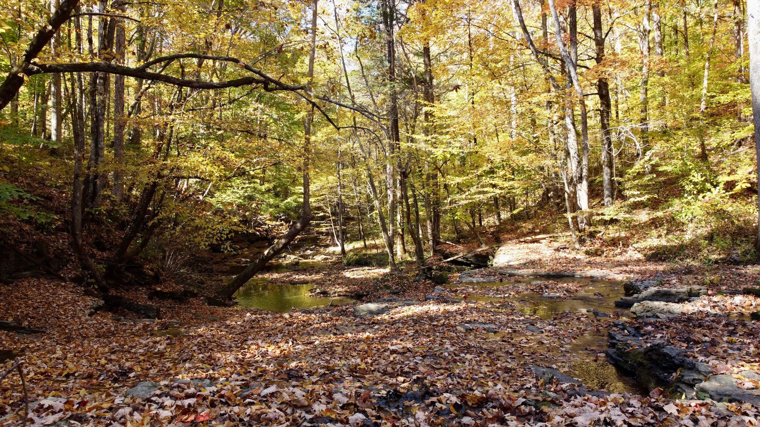 7439 Southfork Road, Baxter, TN 38544 Land and Farm