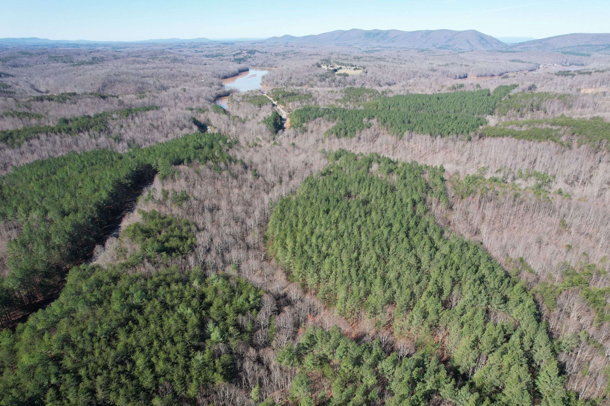 Mountain View Land, Lot 48, Pittsville, VA 24139 Land and Farm