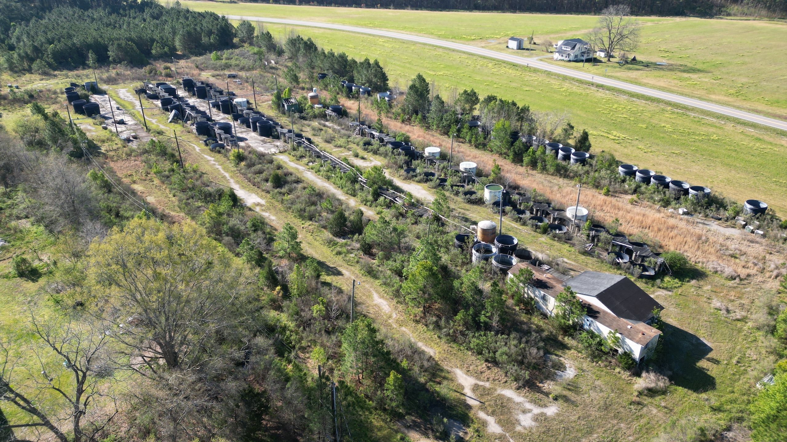 Off East 2nd Street, Lot WP001, Hobgood, NC 27843 Land and Farm