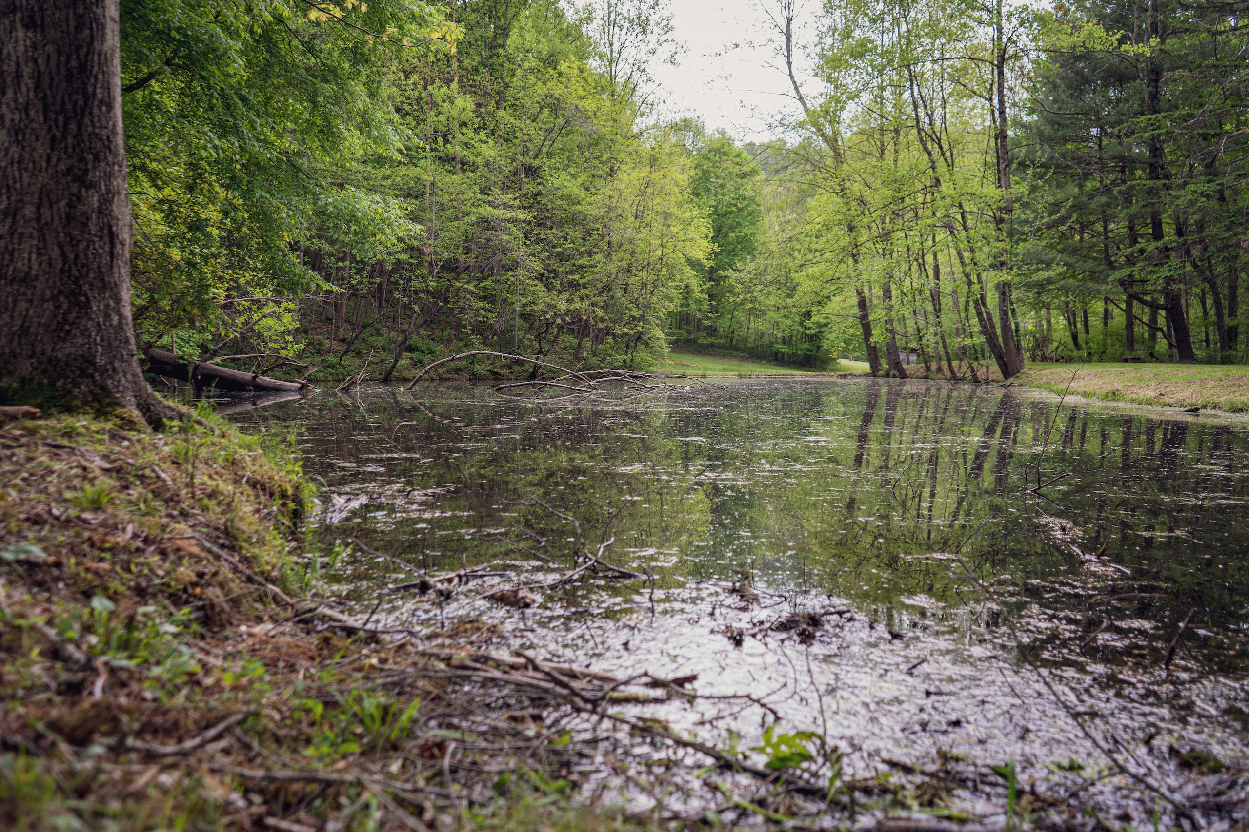 159 High Street, Flemington, WV 26508 Land and Farm