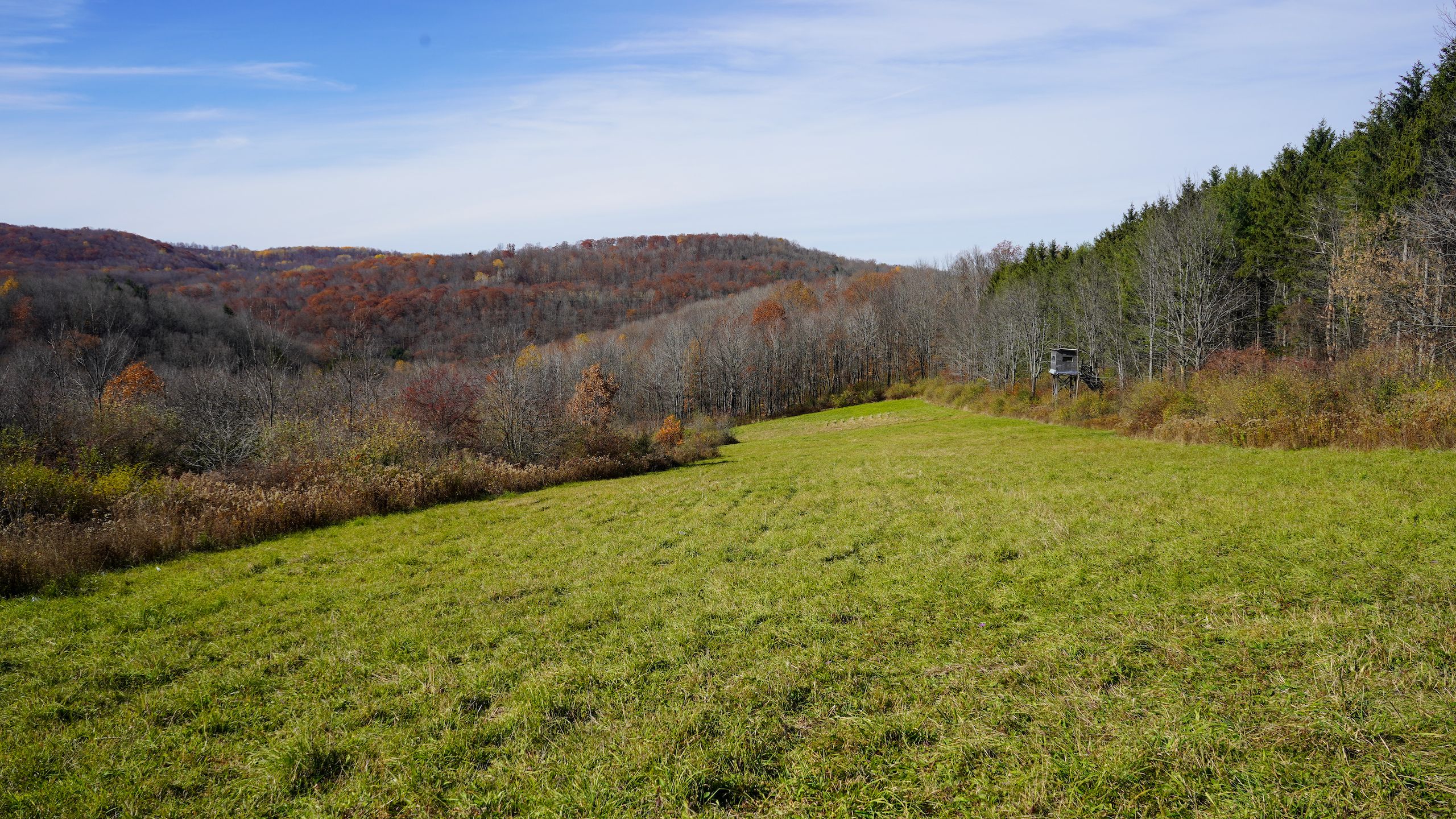 1171 Durkin Hill Road, LotWP002, Woodhull, NY 14898 Land and Farm