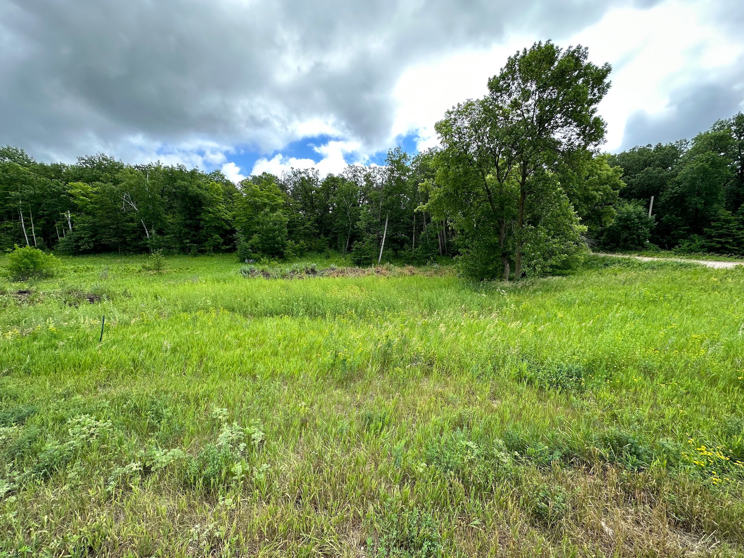 0.42 Acres, TBD Michigan Avenue, LotWP001, Detroit Lakes, MN 56501