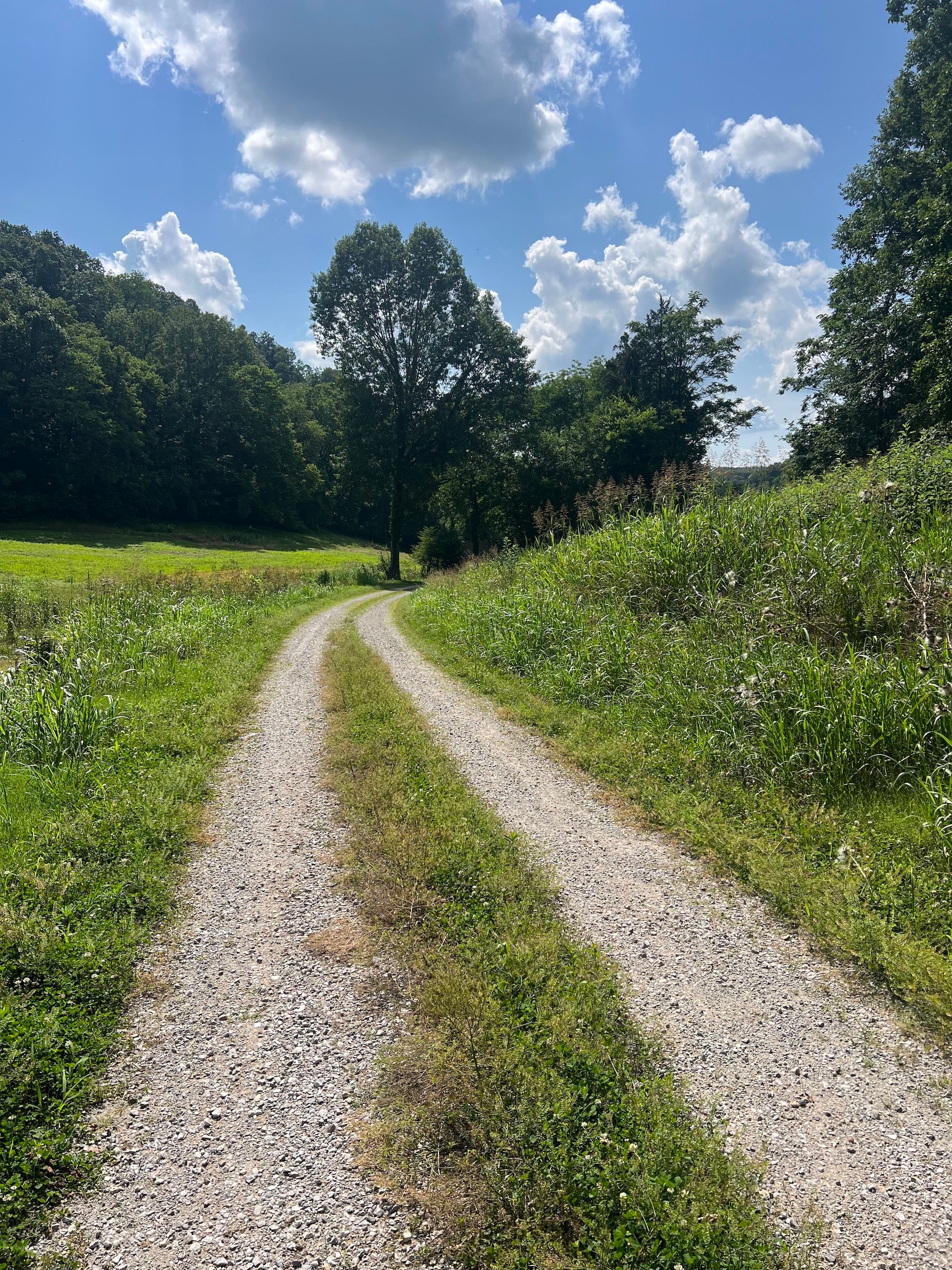 123.23 Acres, Massey Hollow Lane/ Skelton Lane, LotWP001, Pleasant