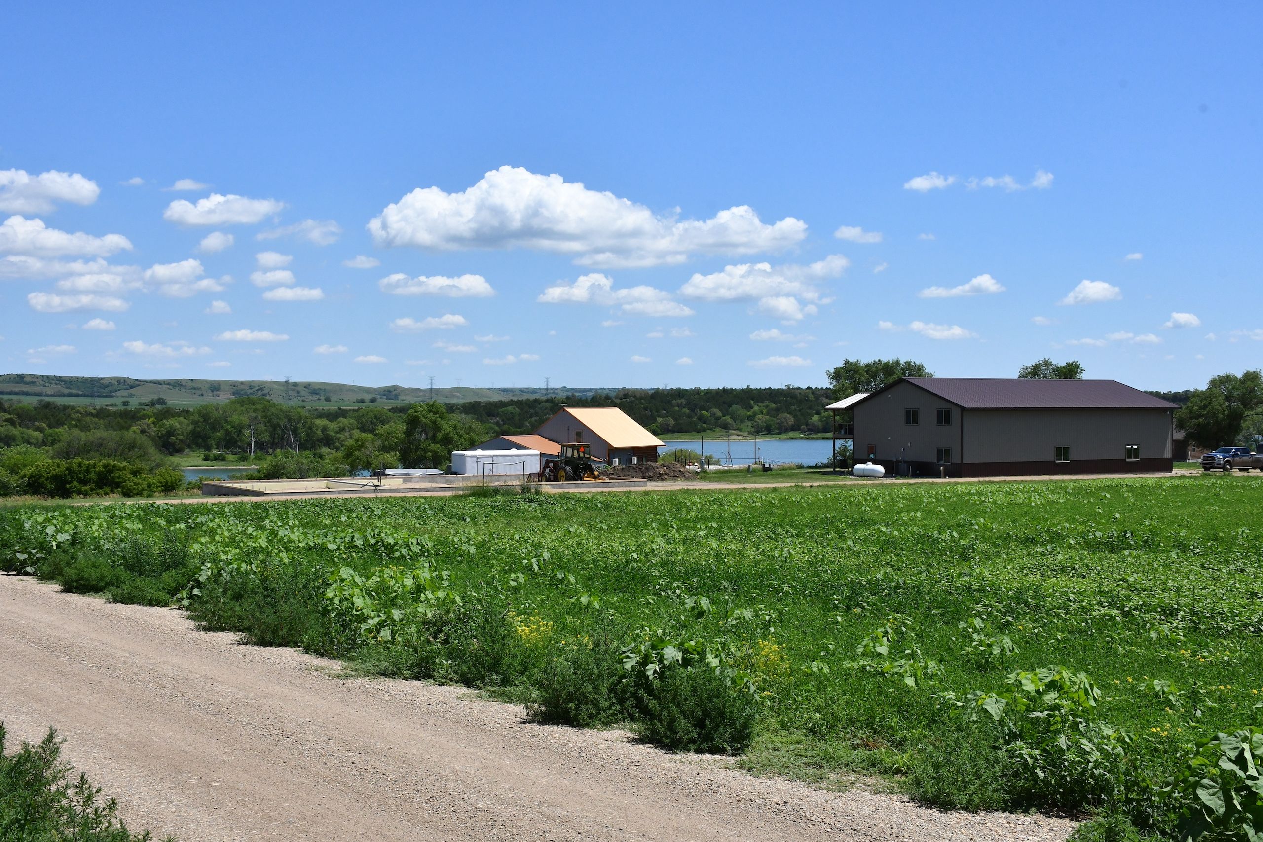 TBD Rita's Avenue, LotWP001, Lake Andes, SD 57356 Land and Farm