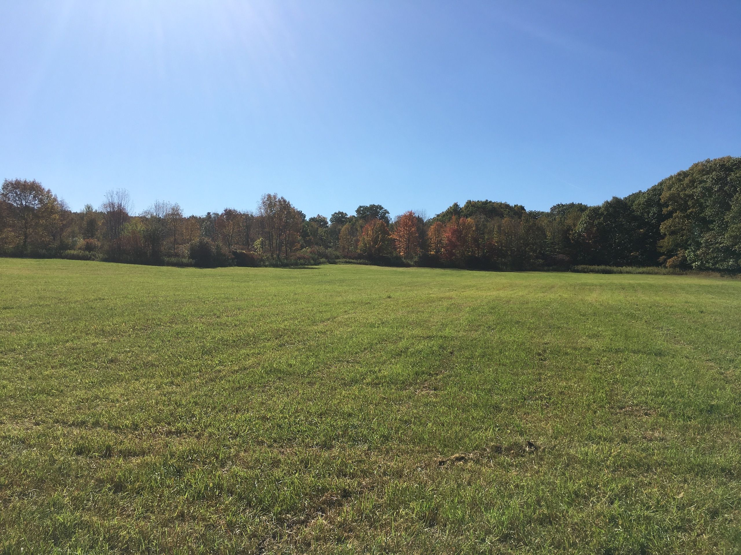 Beard Road, LotWP001, Delanson, NY 12053 MLS 11196159 Land and Farm