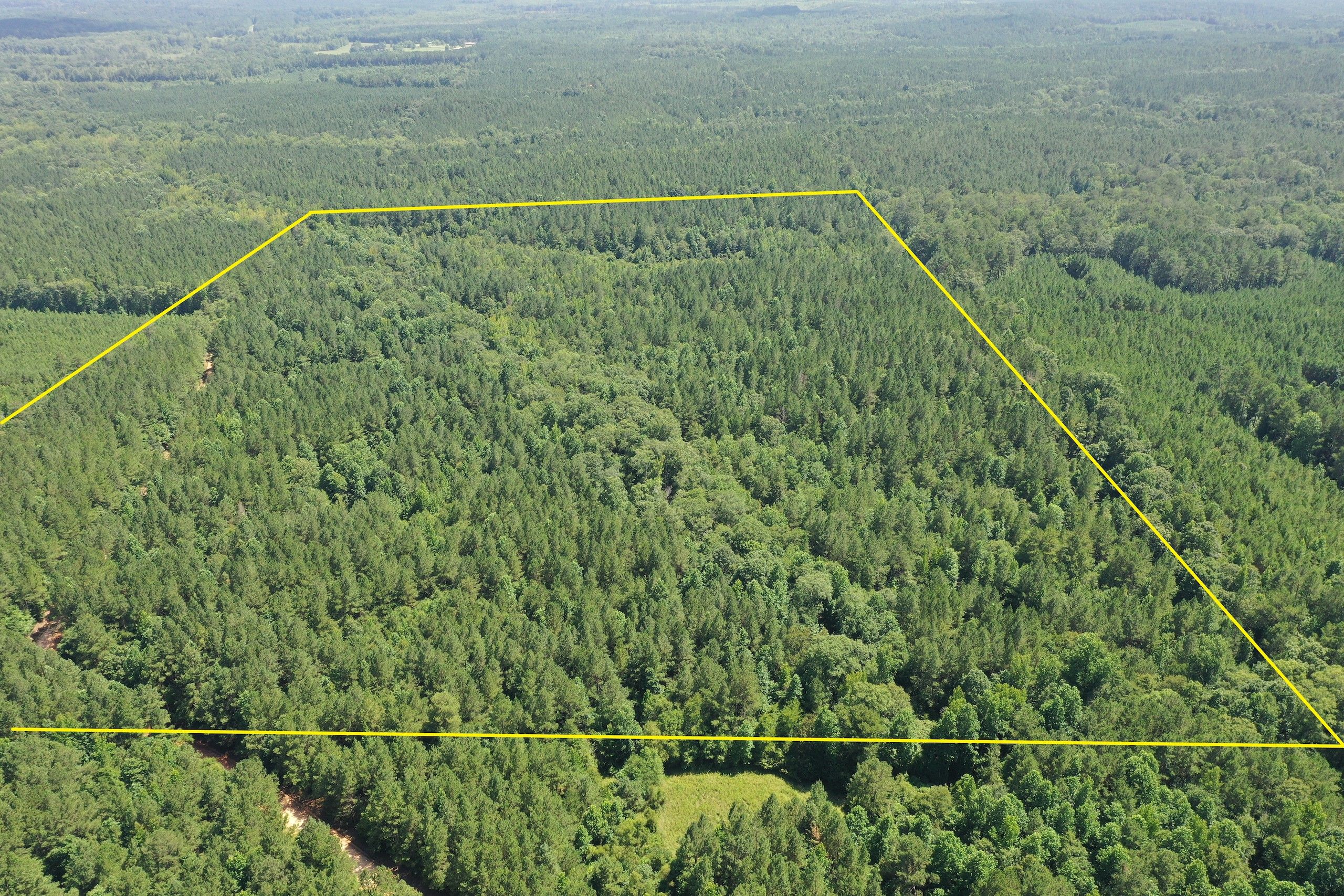 Hwy 411, Ethel, MS 39067 Land and Farm