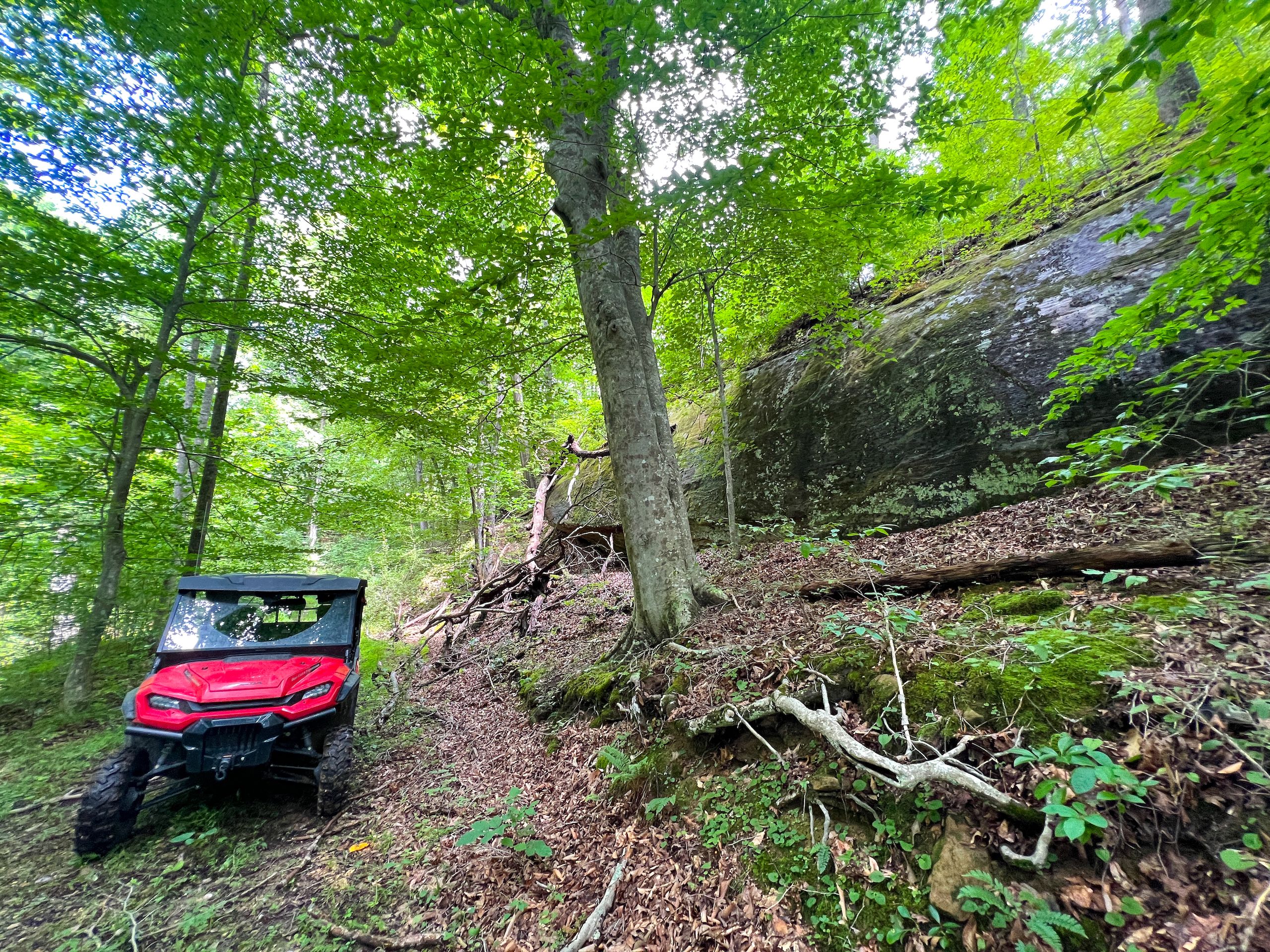 Left Fork Miller Road, Lot WP001, East Lynn, WV 25512 Land and Farm