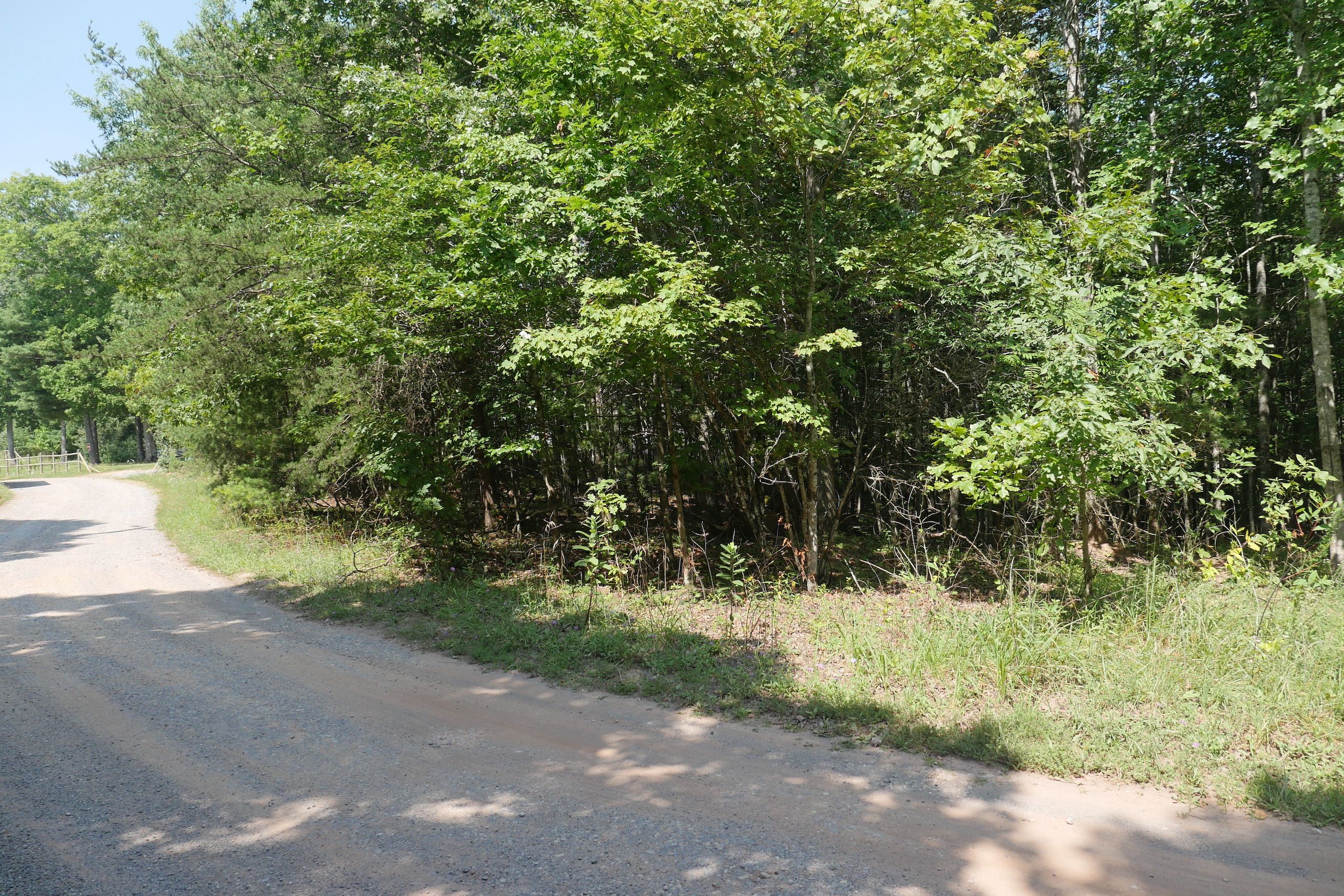 TBD Millers Creek Road, LotWP001, Max Meadows, VA 24360 Land and Farm