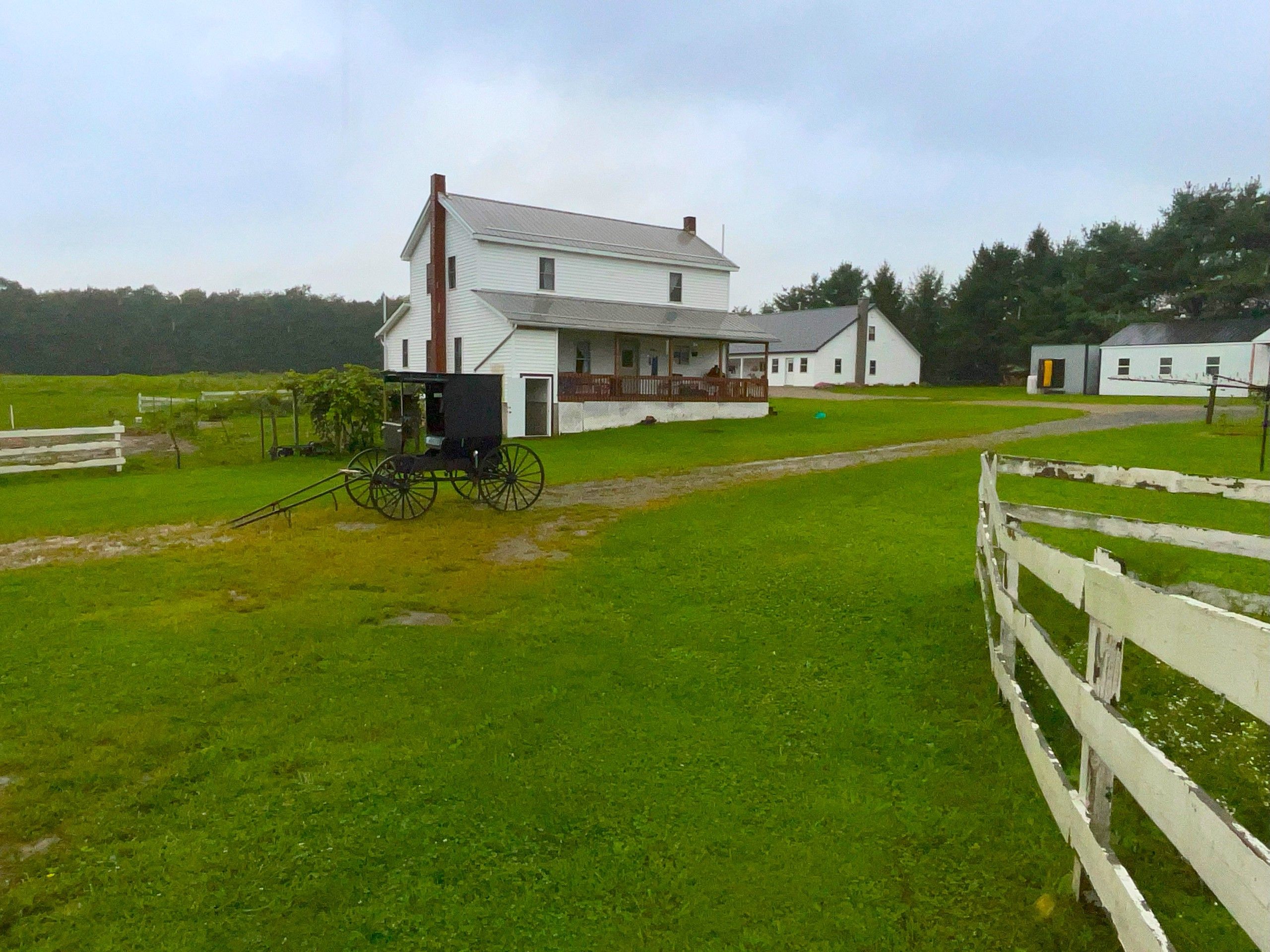 330 Fred Bechel Lane, Nicktown, PA 15762 Land and Farm