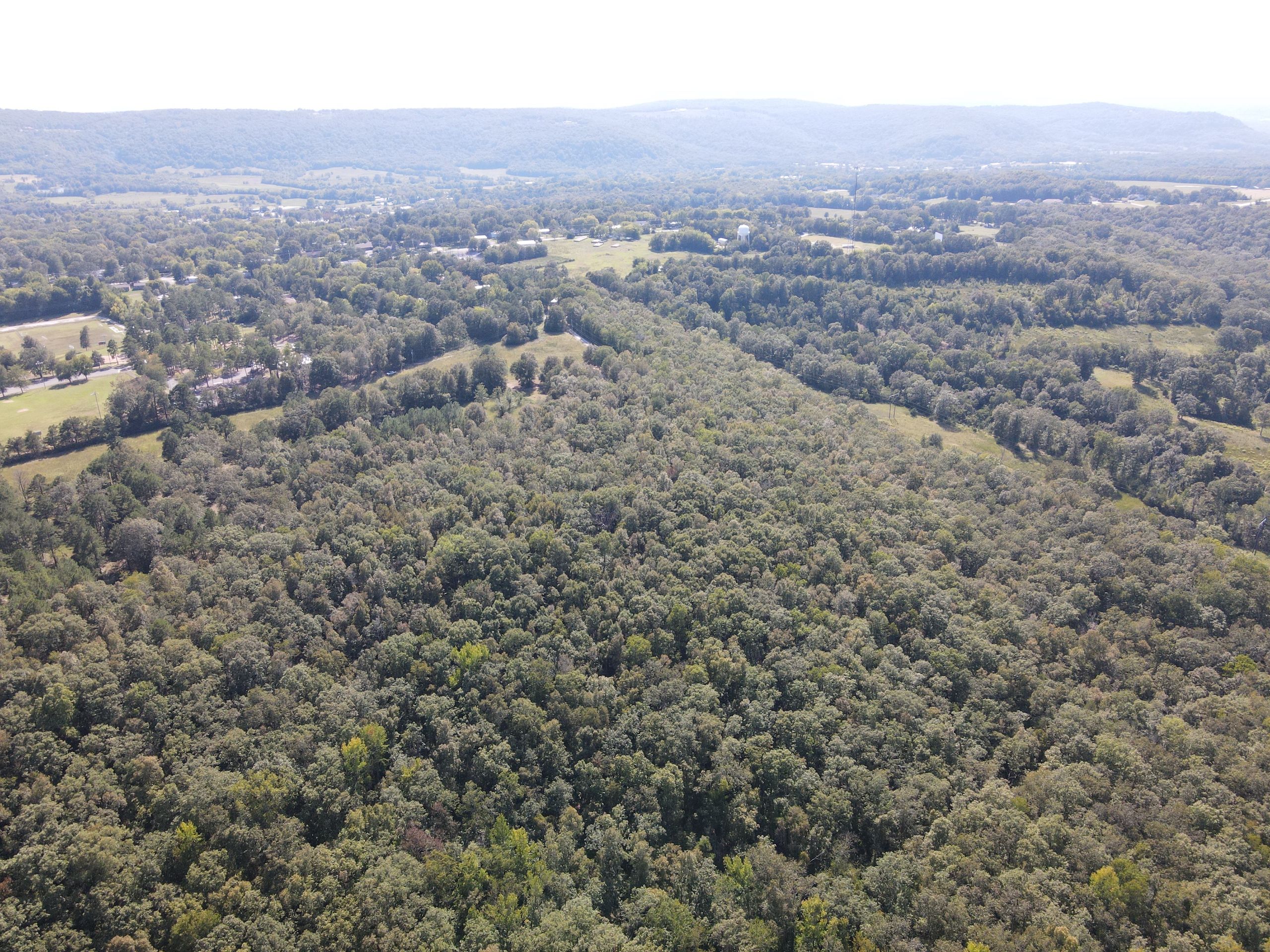 Alamo Drive, Mountain View, AR 72560 Land and Farm