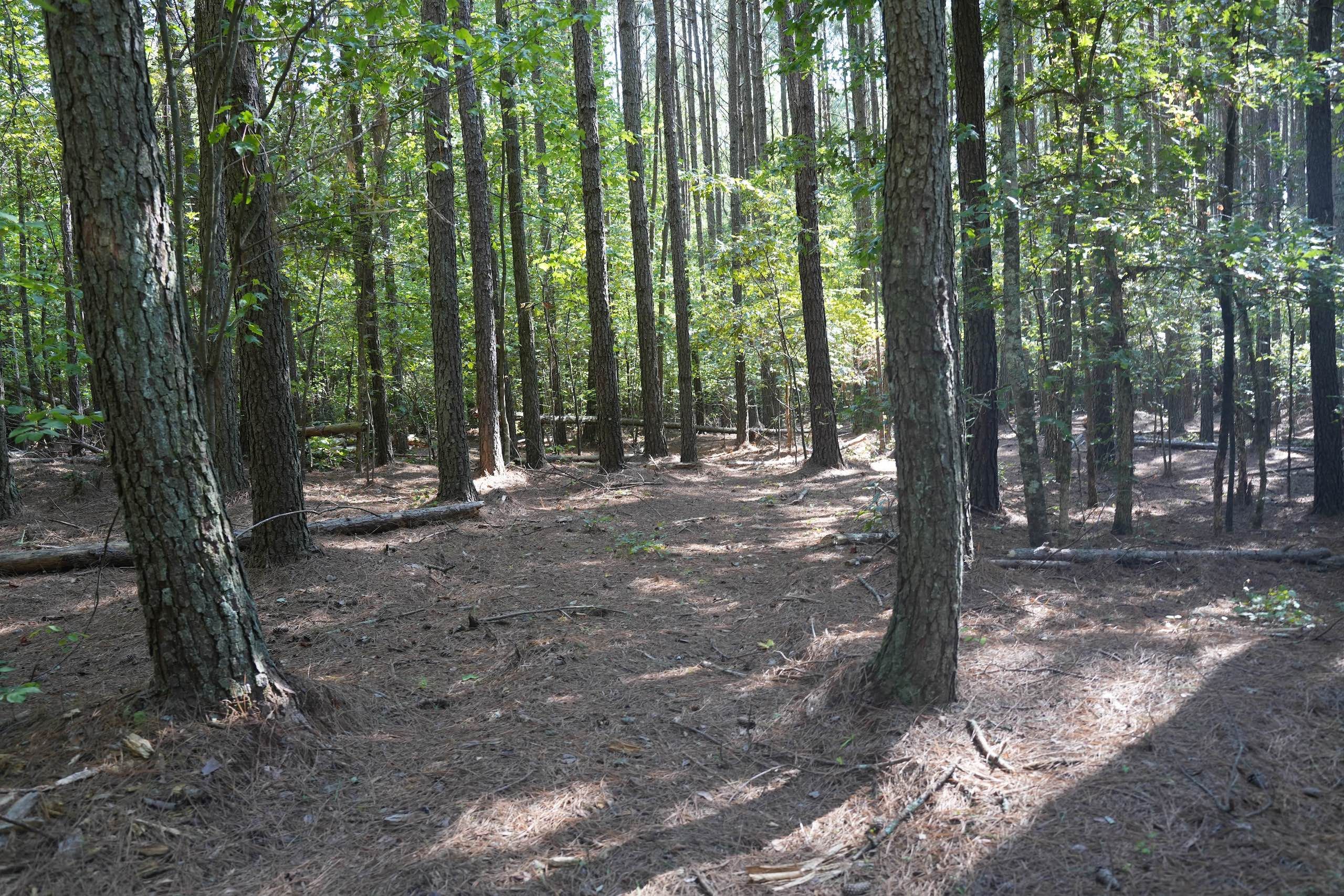 CasarBelwood Road, Lot F, Lawndale, NC 28090 MLS 4070512 Land and