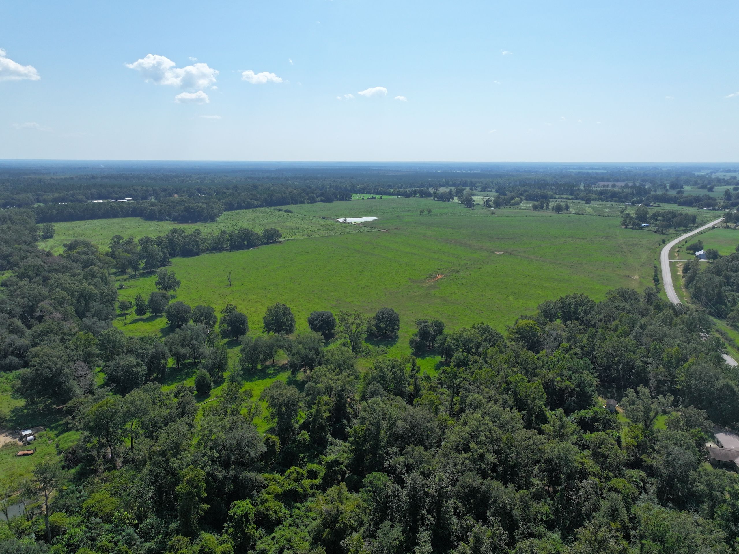 LotWP001, Campbellton, FL 32426 Land and Farm