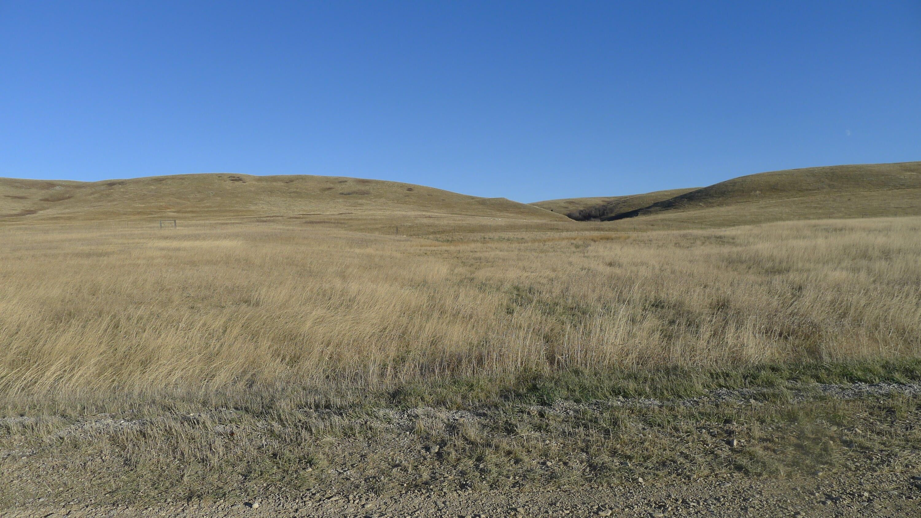 5.24 Acres, Lot 19 Par 5 Avenue, Lewistown, MT 59457 Land and Farm