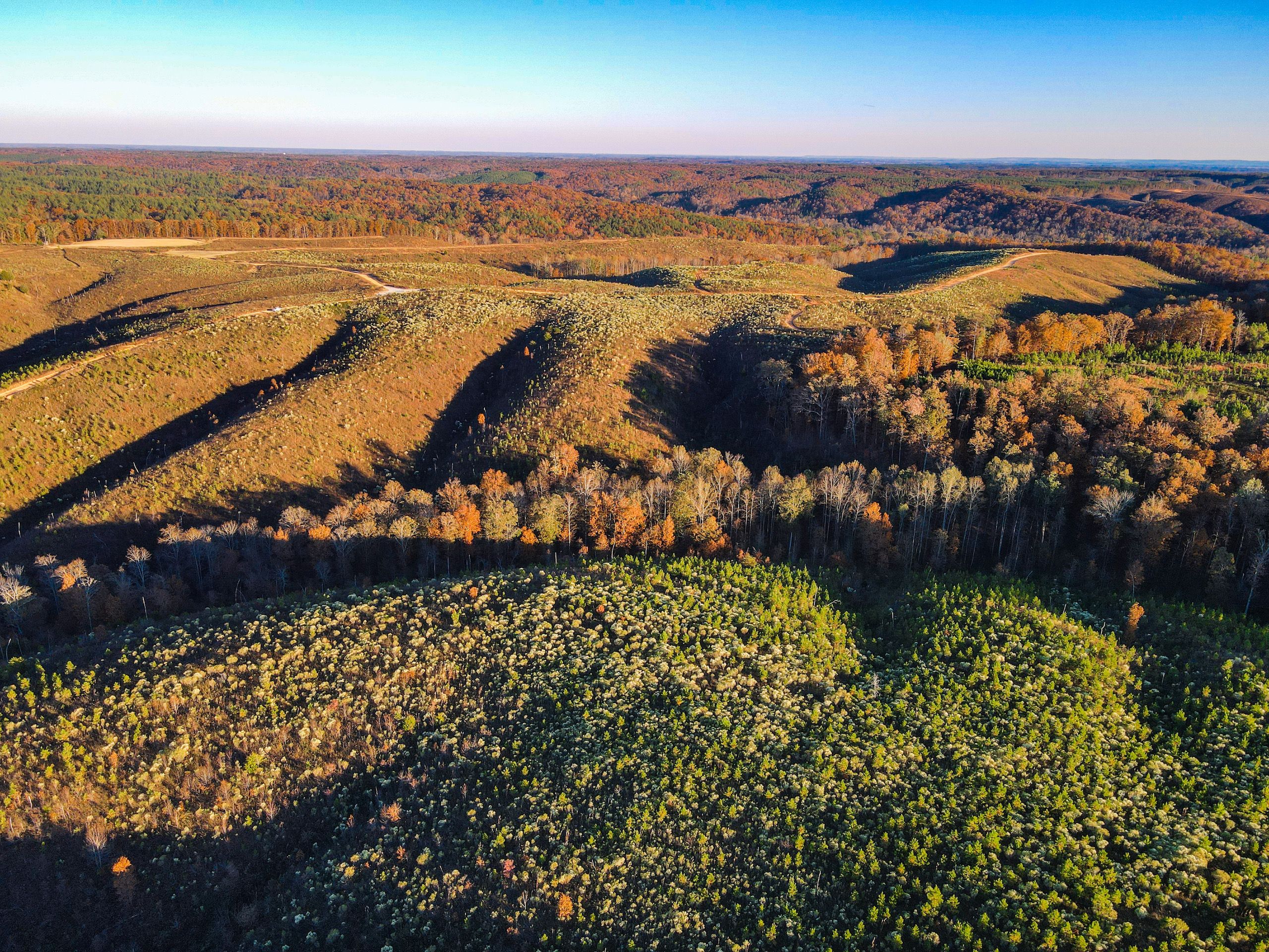 County Road 79, LotWP001, Waterloo, AL 35677 Land and Farm