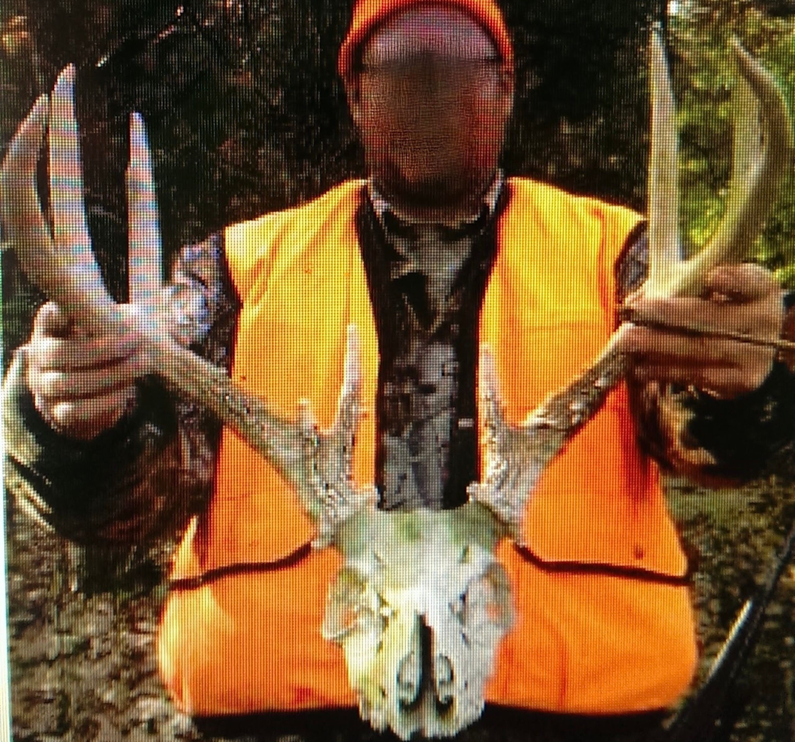 Wildcat Bluff Road, LotWP001, Vienna, IL 62995 Land and Farm