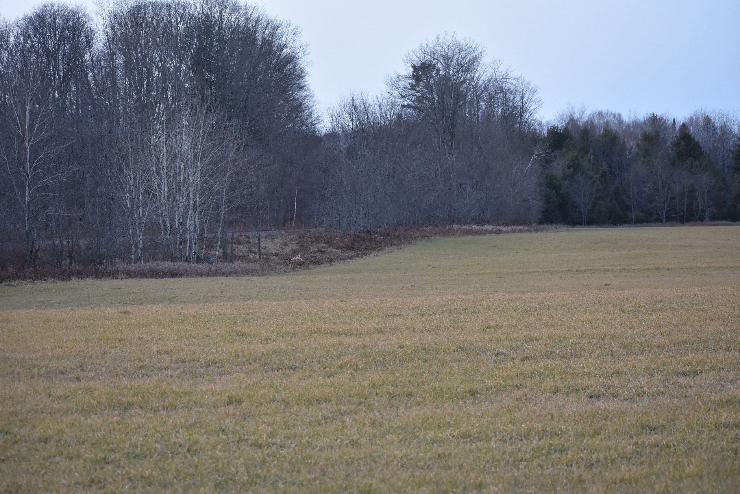 Kiszonas Ln, Armstrong Creek, WI 54103 Land and Farm