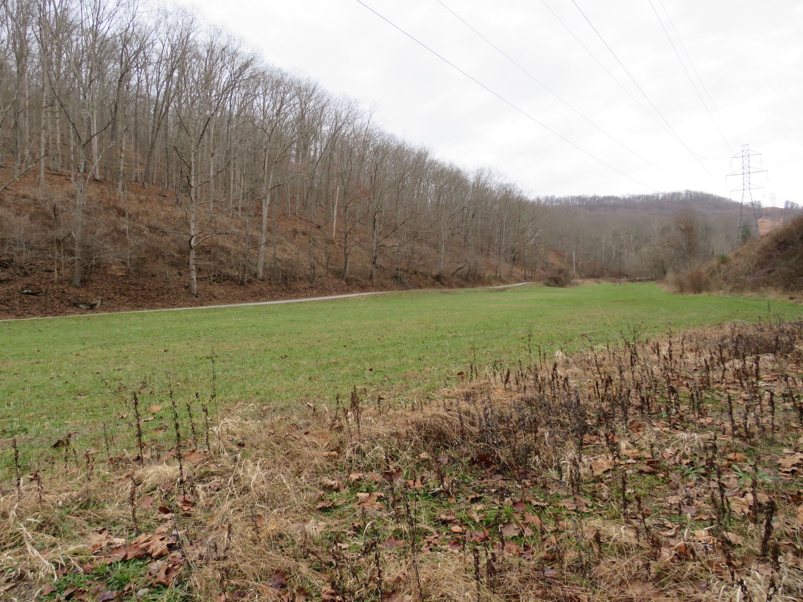 Lura Lane, Lot WP001, Elkview, WV 25071 Land and Farm