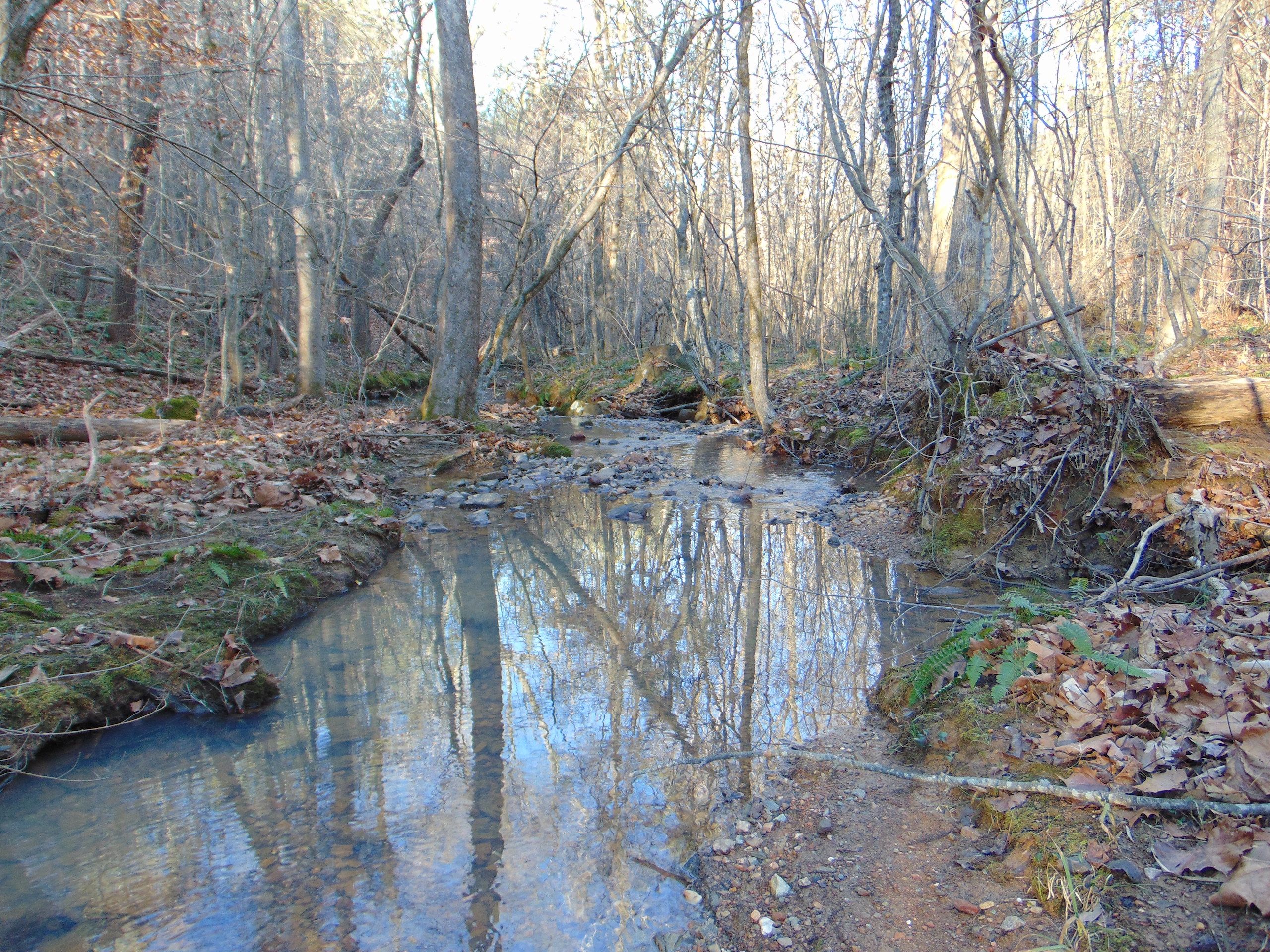 Raymond Lowery Rd, LotWP001, Roxboro, NC 27573 Land and Farm