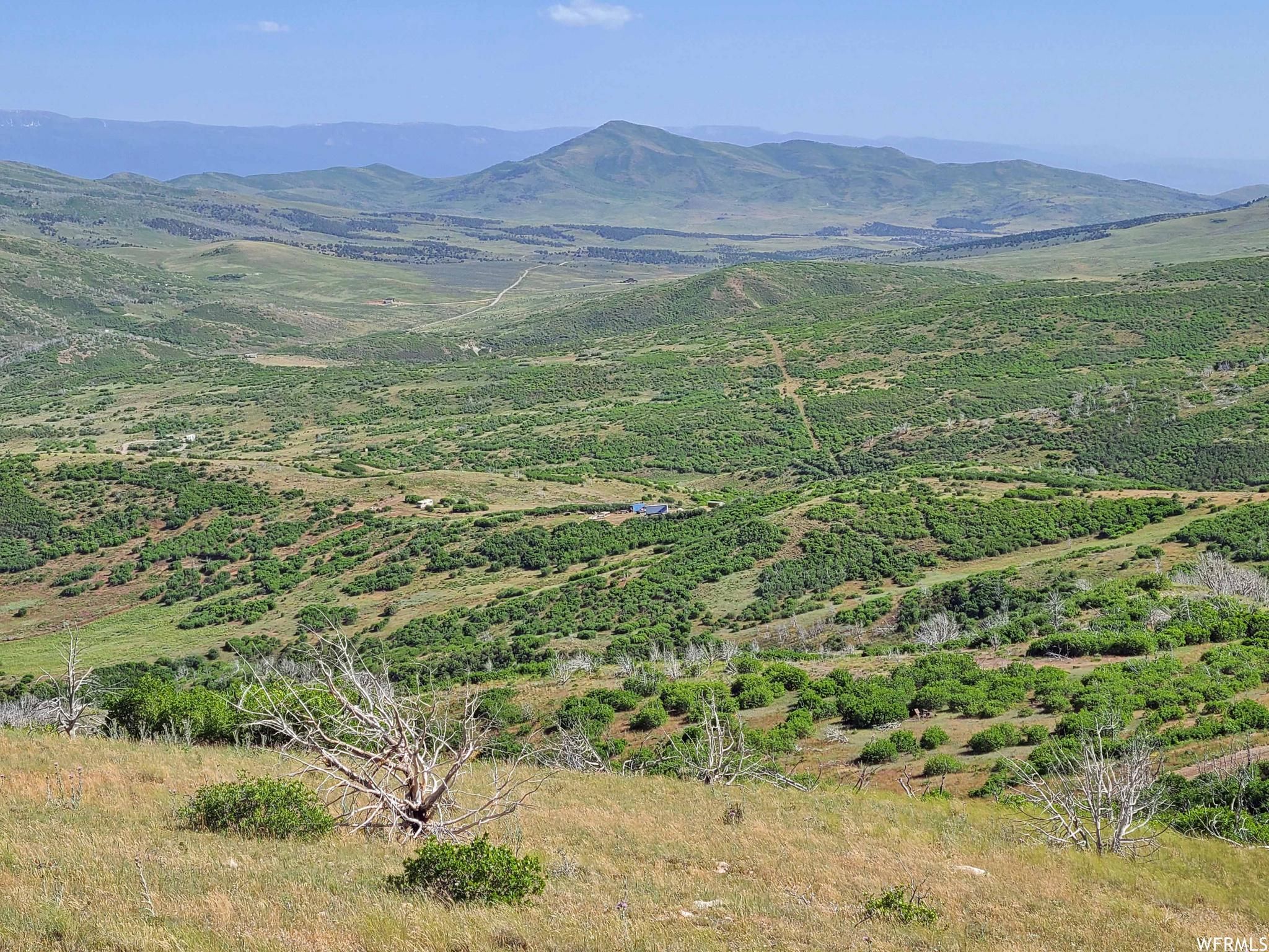 65 W Razorback Dr, Fairview, UT 84629 | Land and Farm