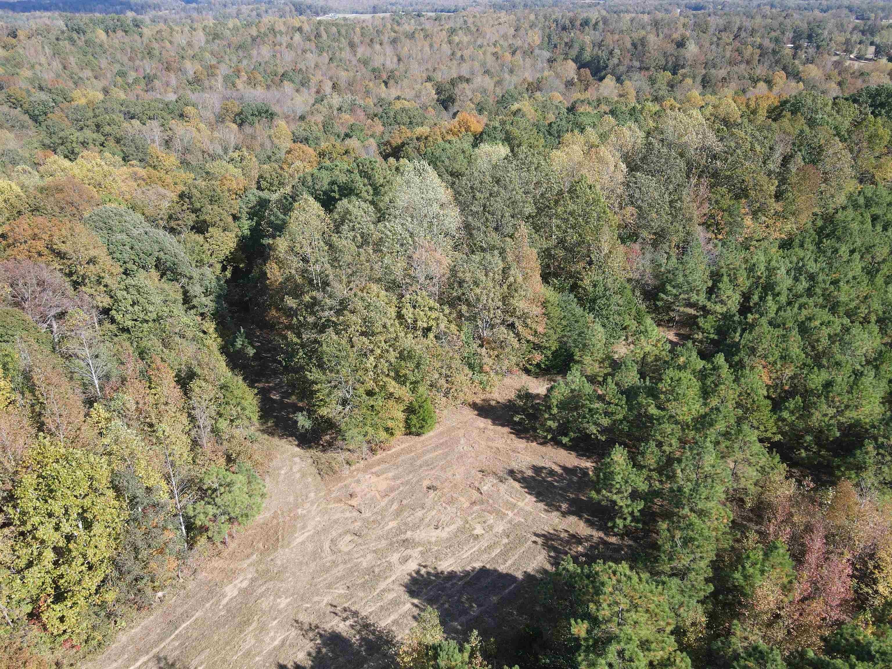 22 Acres, 2999 Liberty Rd, Scotts Hill, TN 38374 Land and Farm