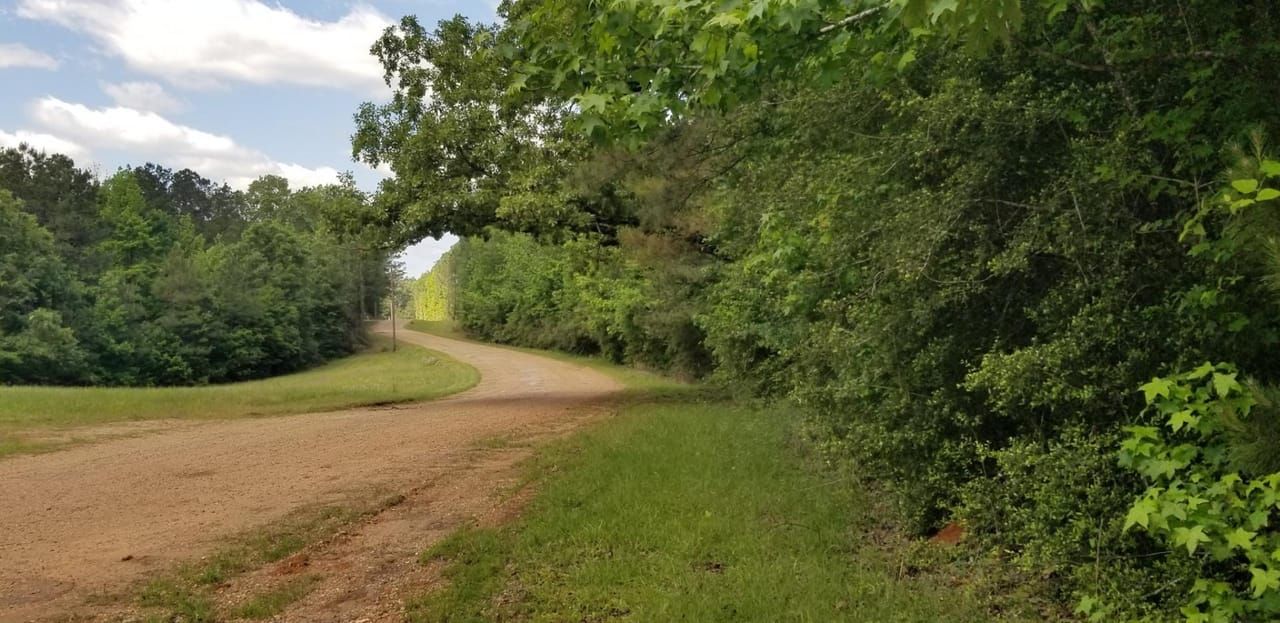 29 Acres, Winnfield, LA 71483 Land and Farm