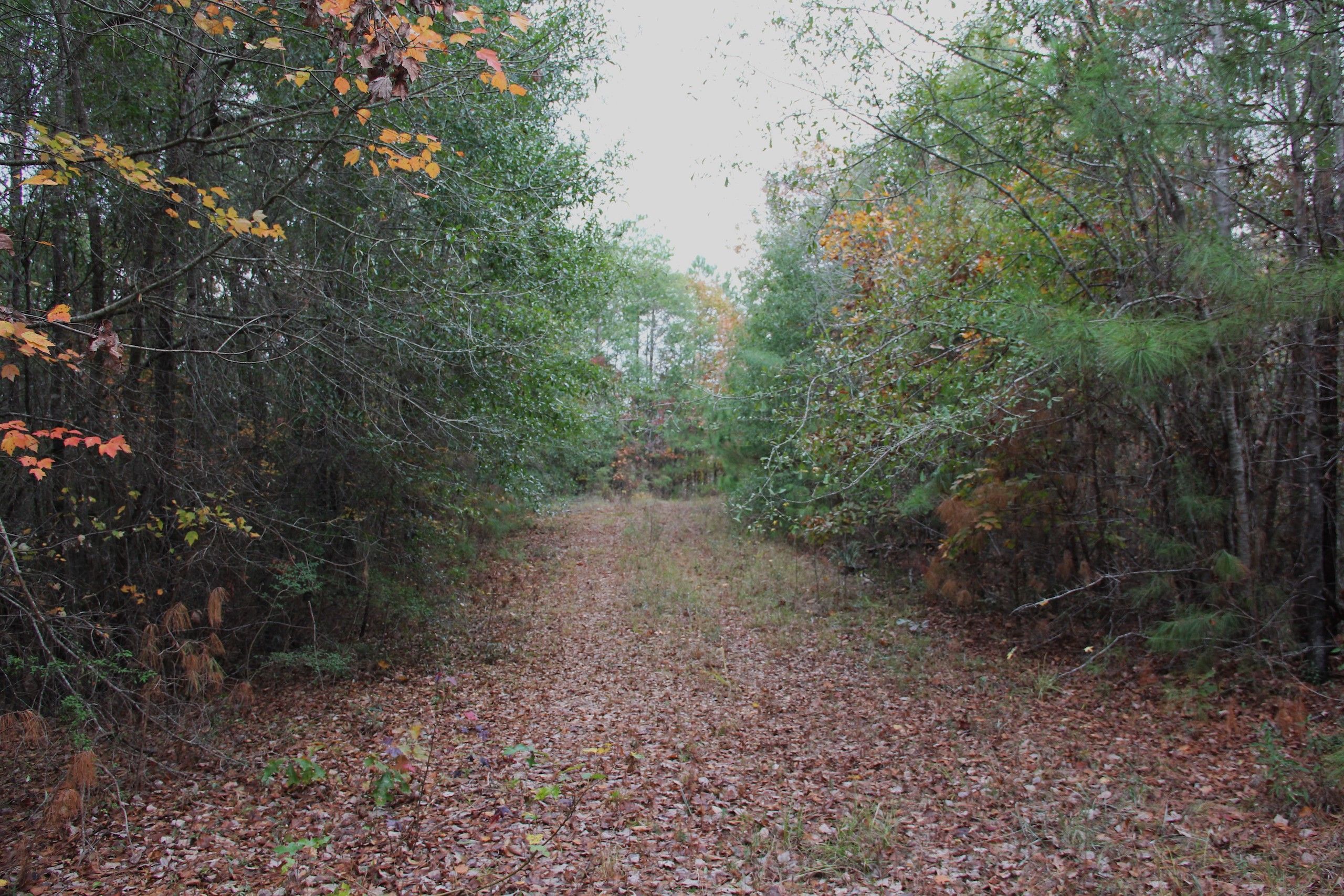 13 Acres, 00, Mccall Creek, MS 39647 Land and Farm