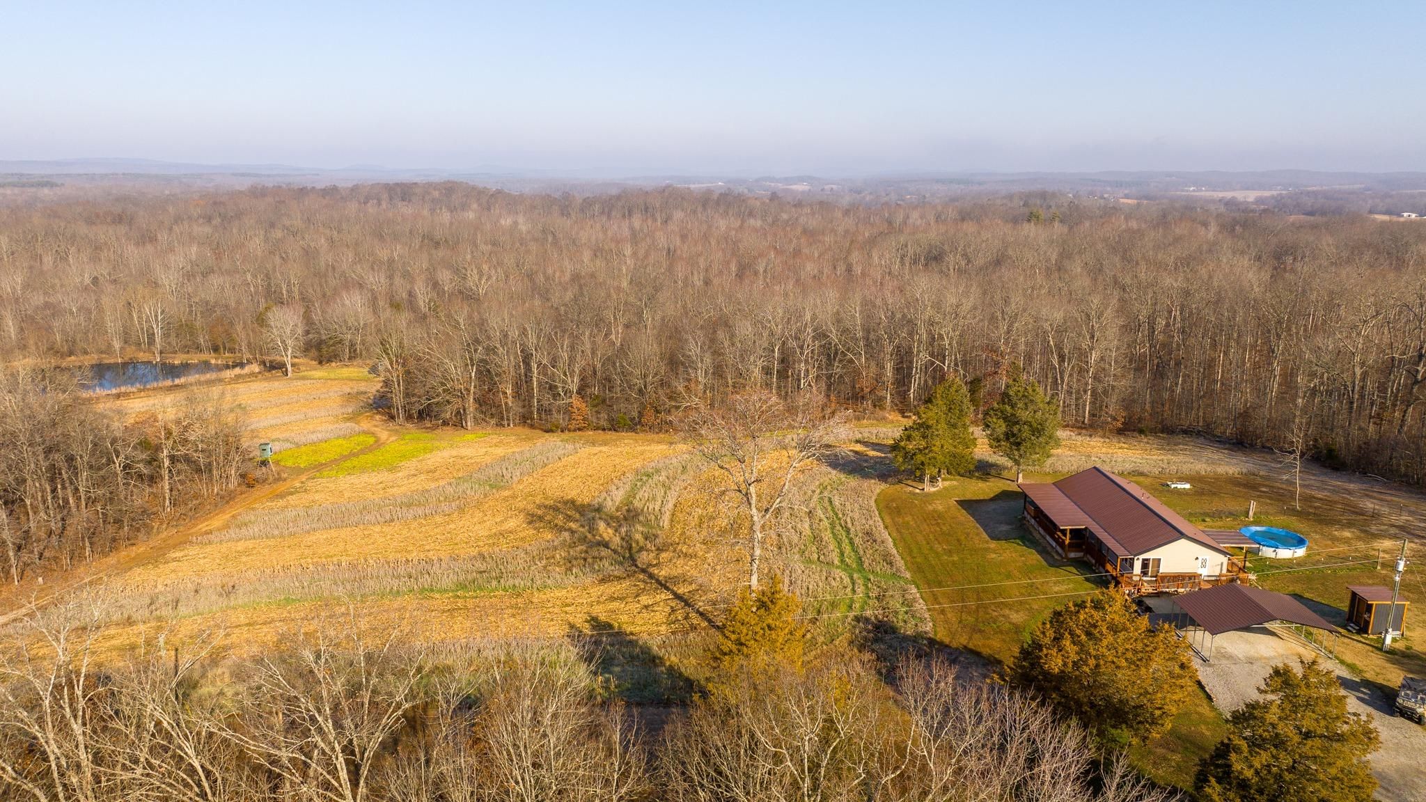 40 Acres, 47 Grand Pierre Drive, Golconda, IL 62938 Land and Farm