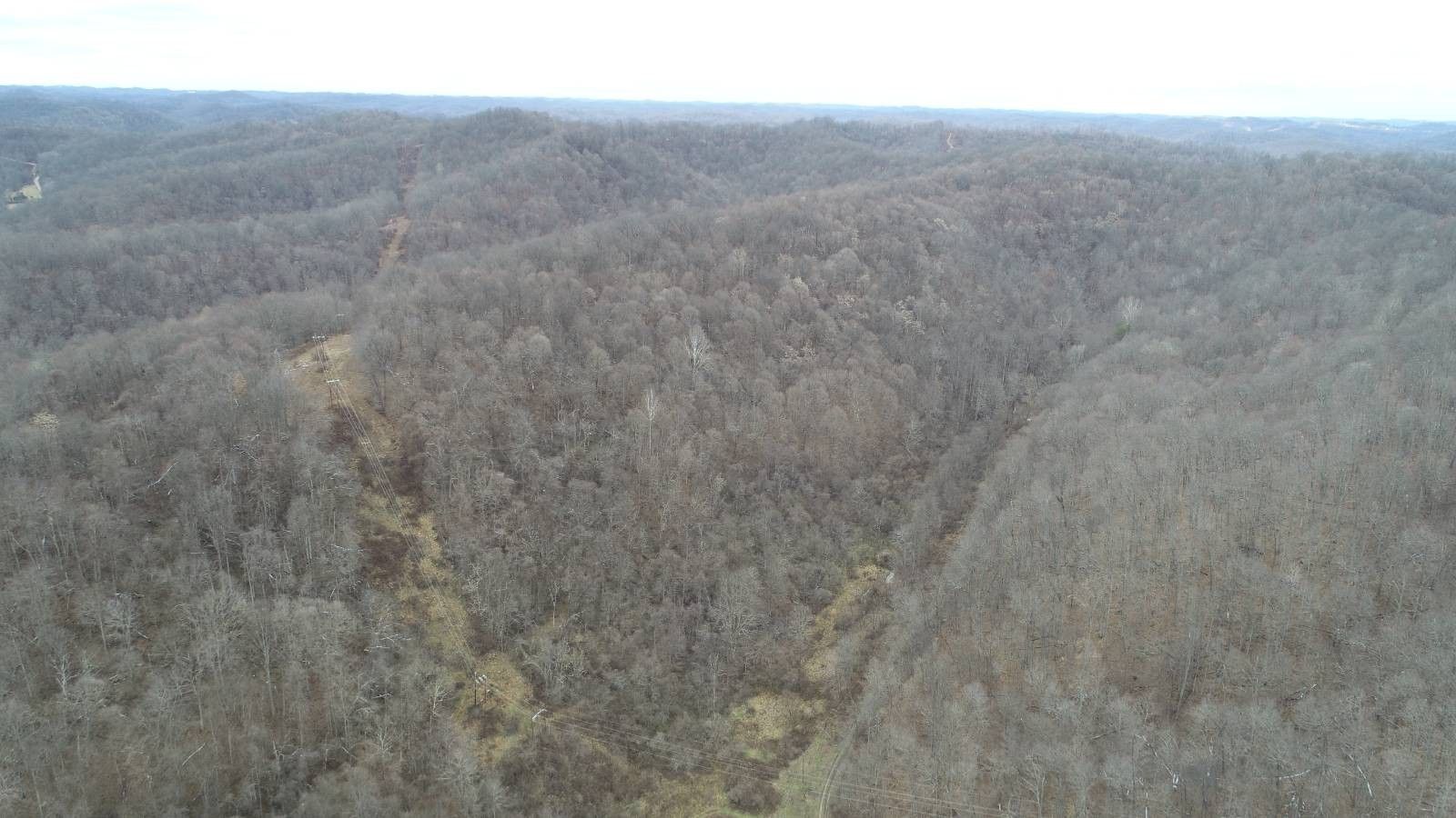 43.74 Acres, 0 Bumblebee Lane, Lumberport, WV 26386 Land and Farm