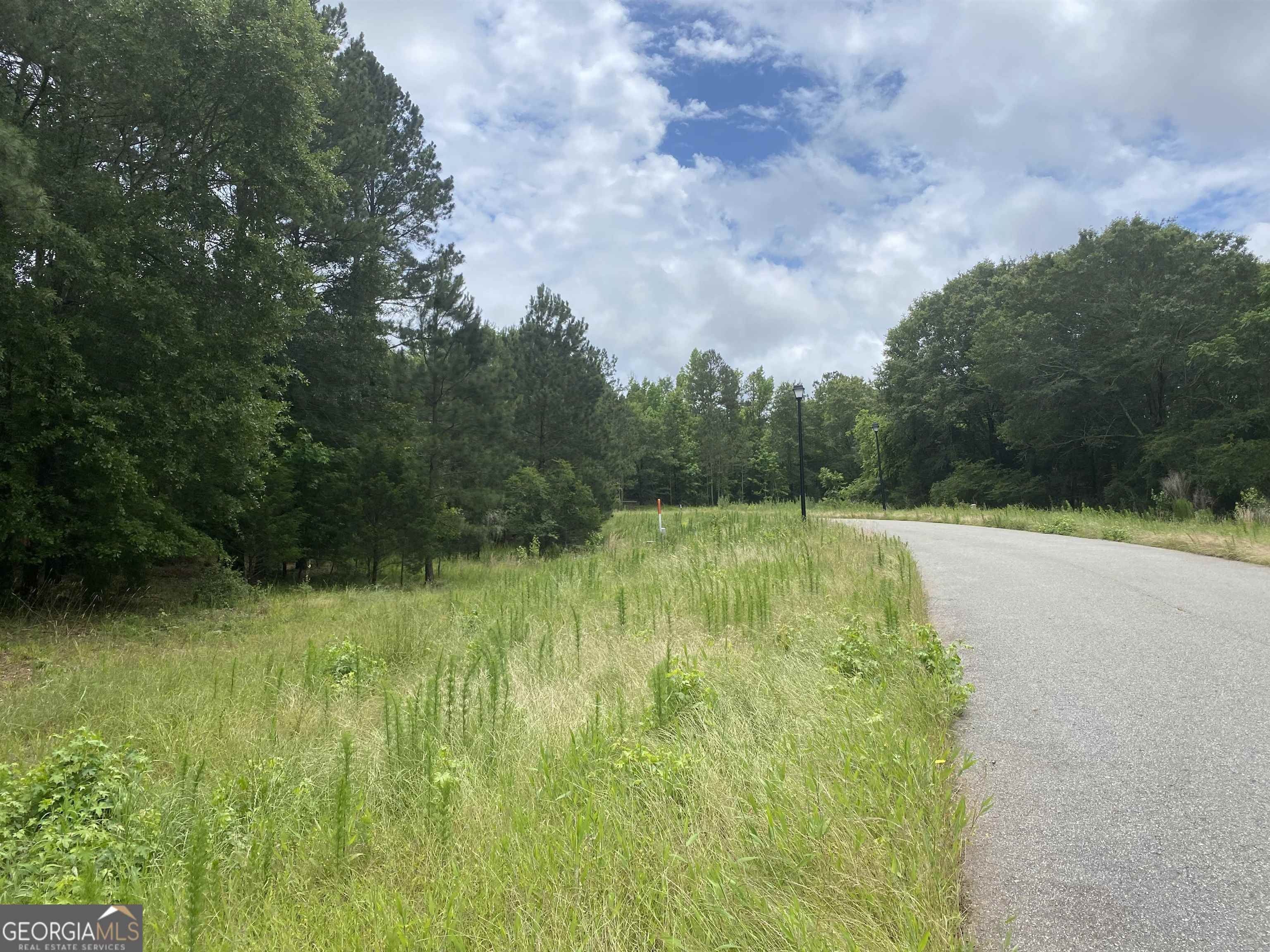 0 Preserve, Colbert, GA 30628 MLS 20165378 Land and Farm