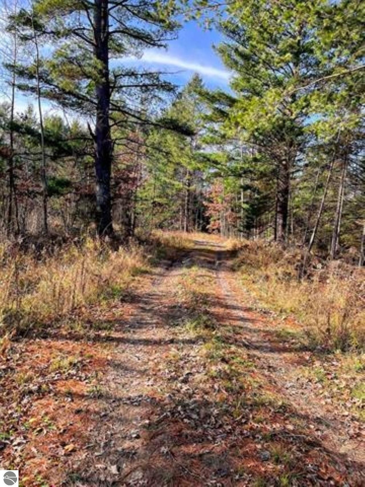 449 Acres, 4419 Lakeview, Hale, MI 48739 Land and Farm