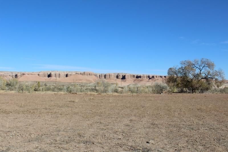 10 Acres, 984 W South River Road, Hanksville, UT 84734 Land and Farm