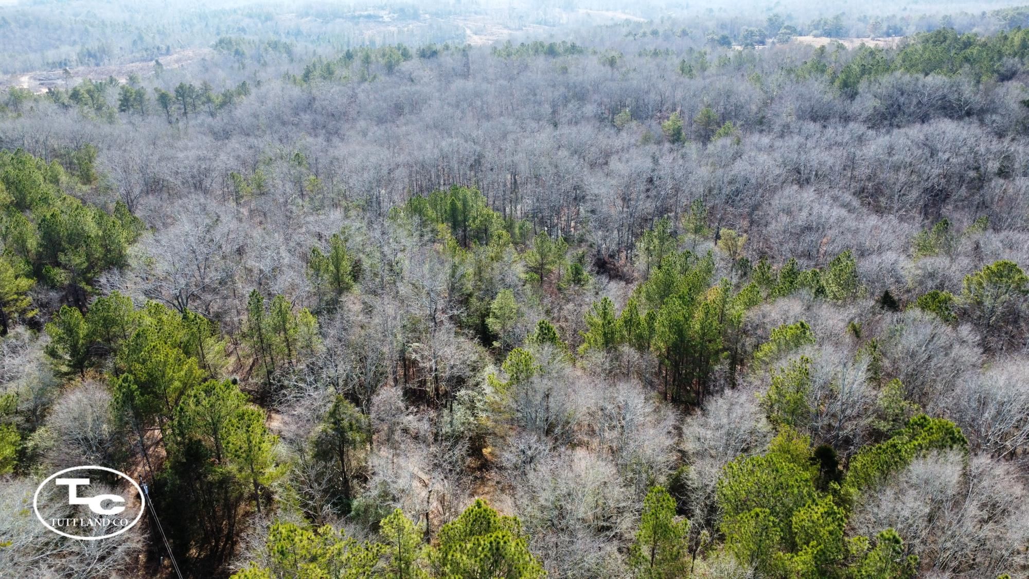 30.04 Acres, Hodges, AL 35571 Land and Farm
