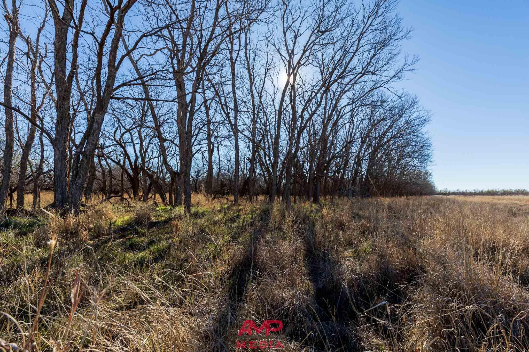 360 Acres, State Hwy 70, Jayton, TX 79518 Land and Farm