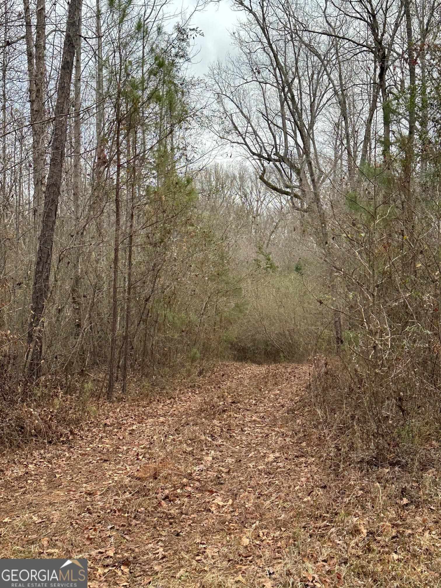 32.26 Acres, 0 N Madden Bridge Road, Molena, GA 30258 Land and Farm